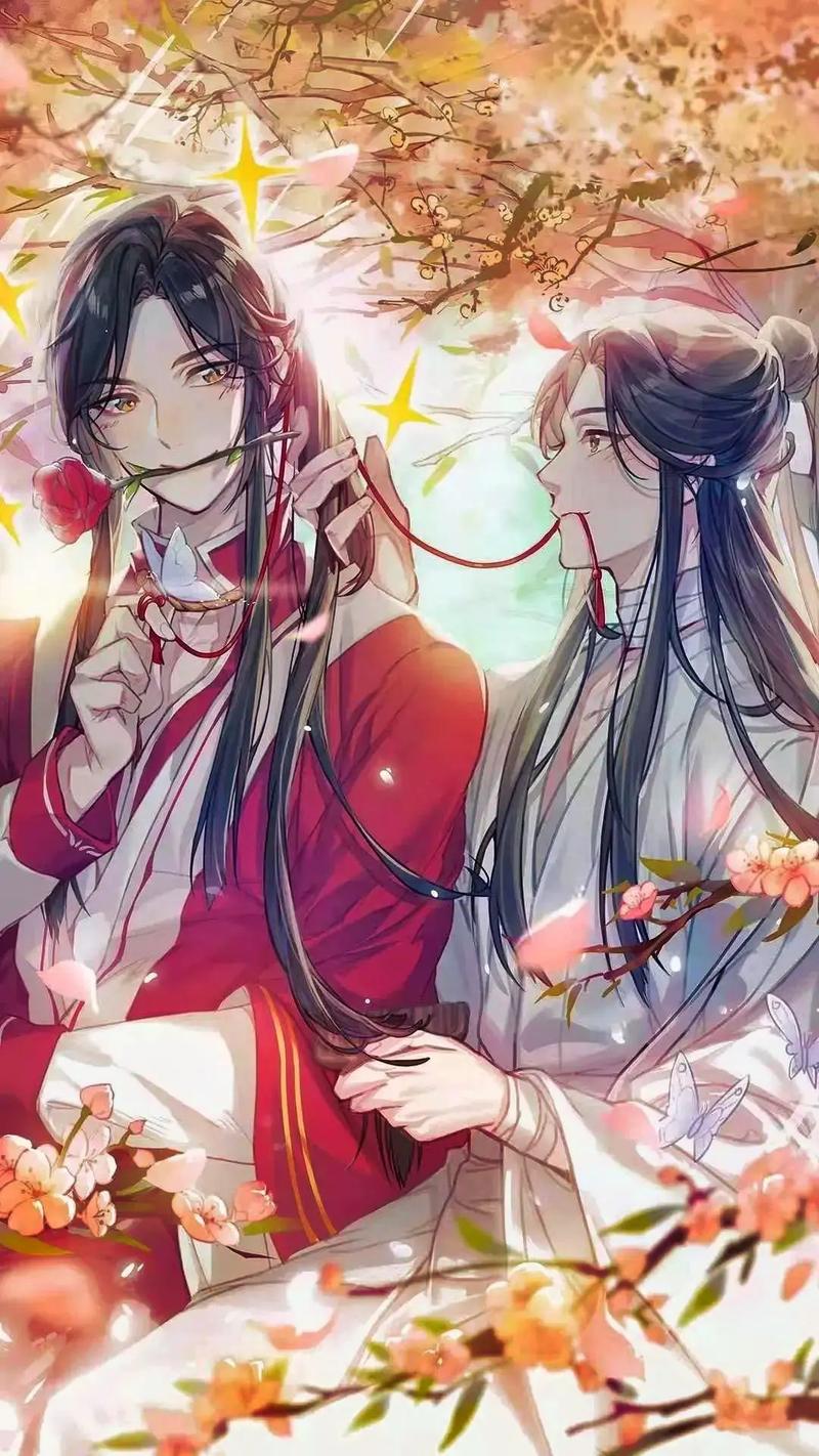 原耽甜图第一弹,花怜#天官赐福# #花怜