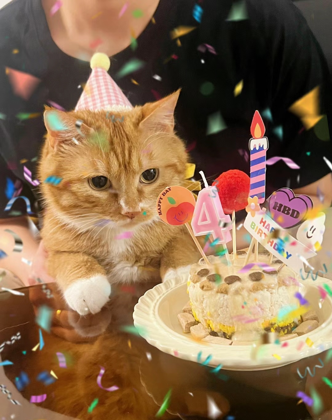 猫咪两岁了,大家快来祝它生日快乐吧!