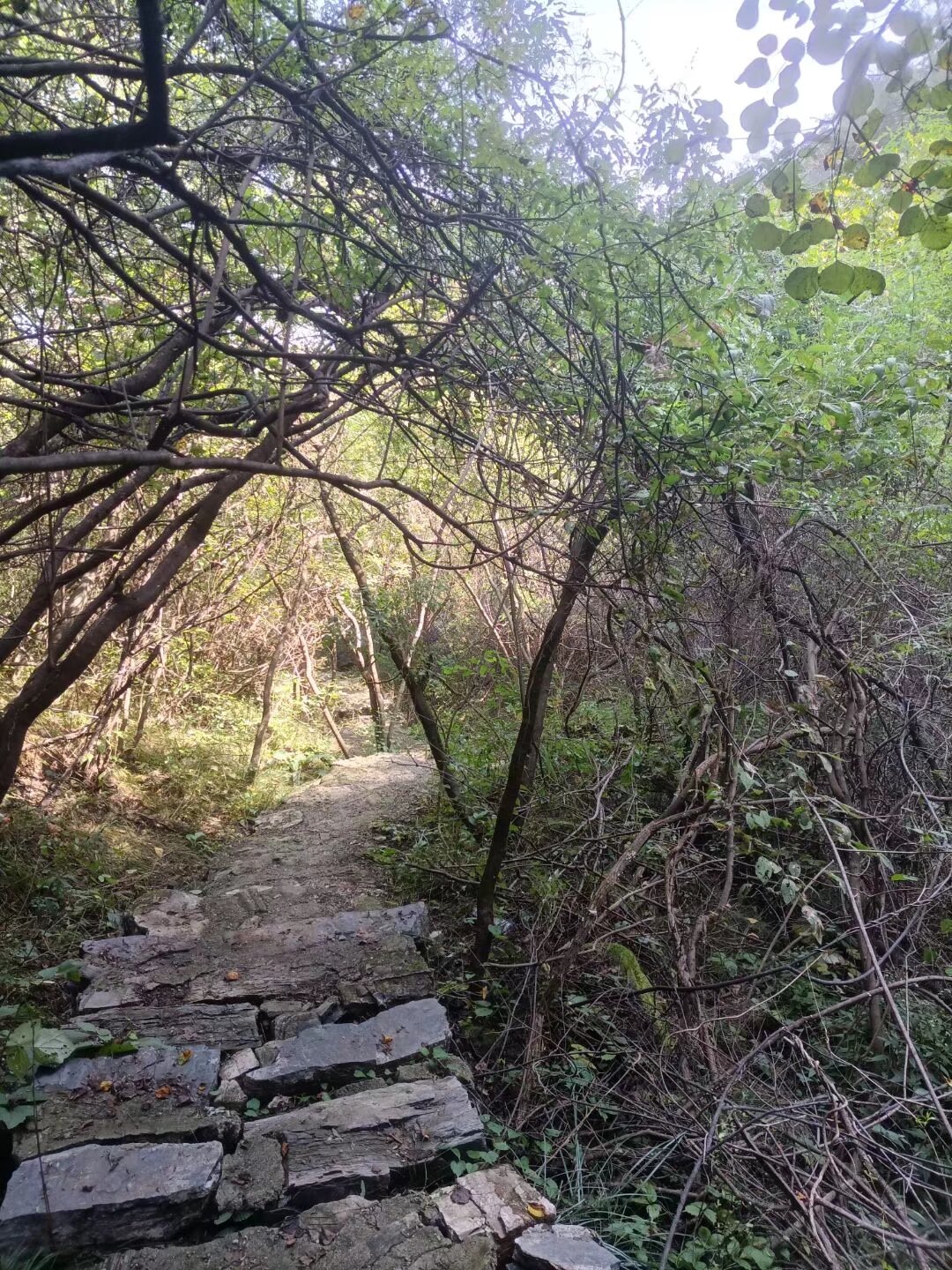 空有人间自由山,却非人间自由人  在这个繁华喧嚣的世界里,我们时常被