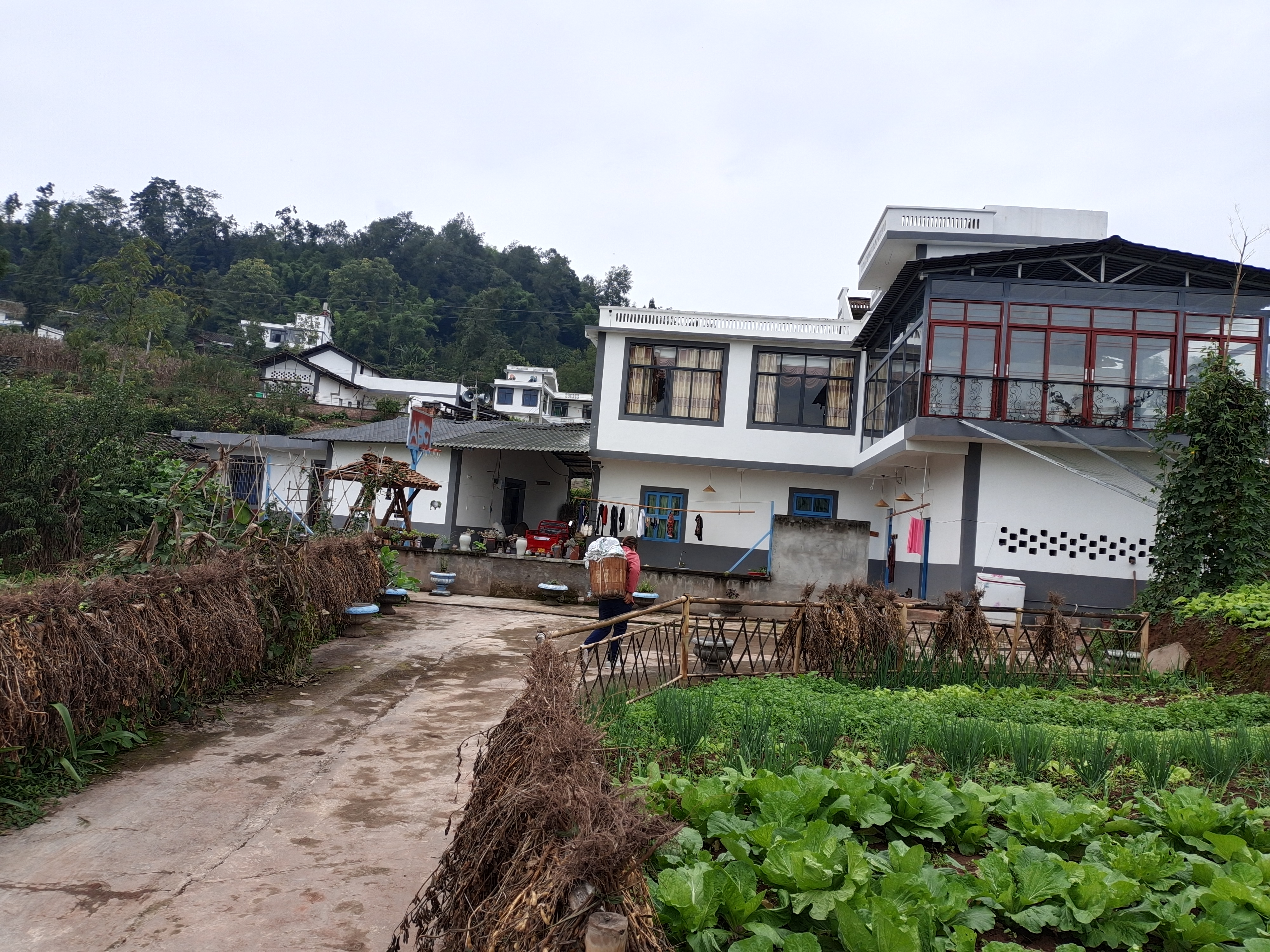 云南省绥江县中城镇大沙村开展乡村振兴