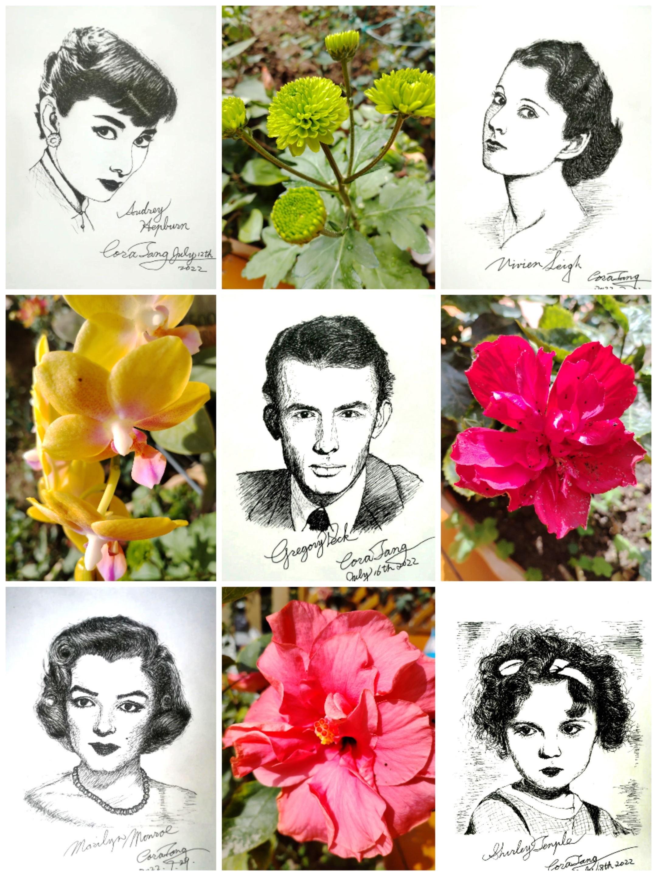 这组钢笔肖像画简直是星光熠熠,仿佛穿越回了电影的黄金时代!