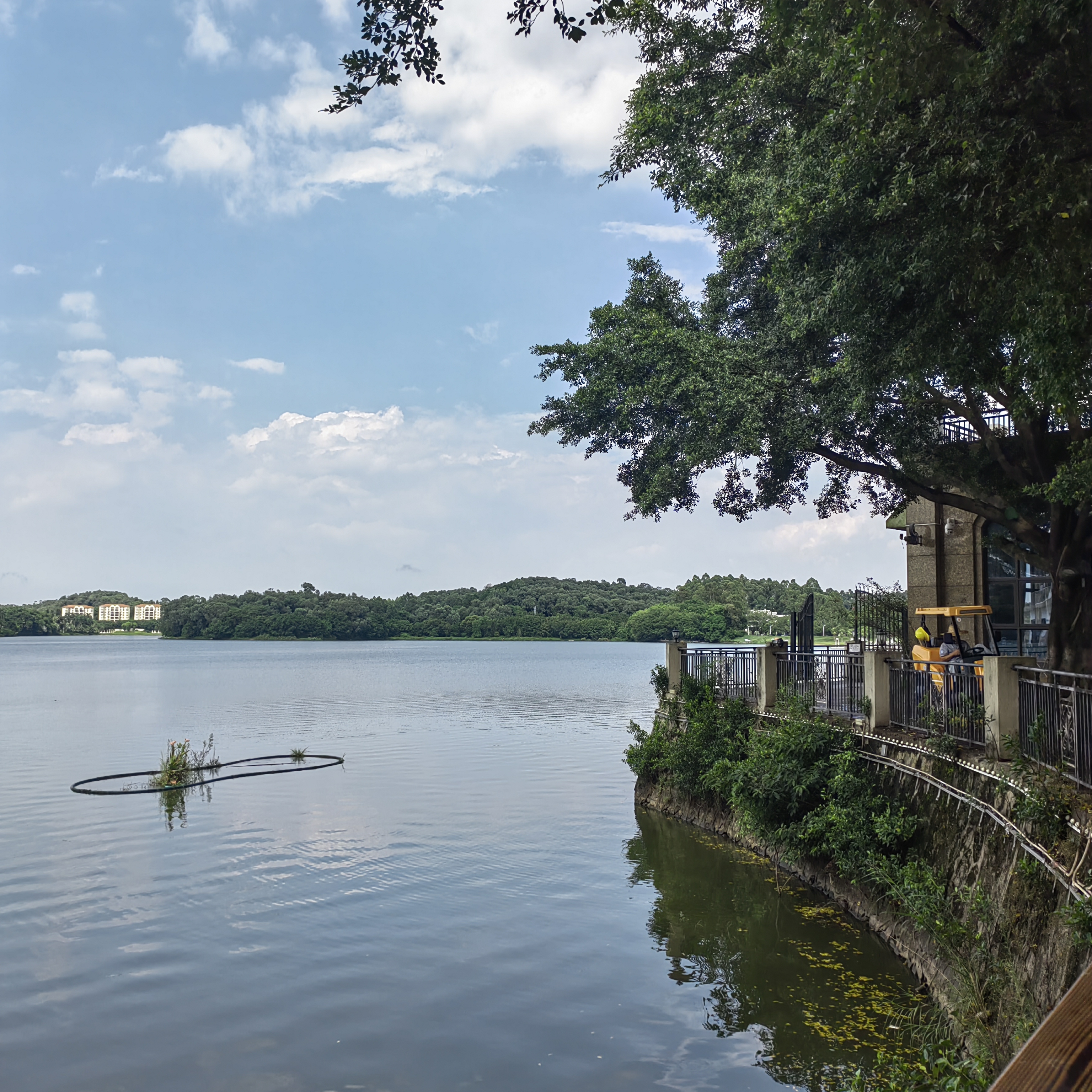 夏天适合一个人散心的旅游地方(夏天适合一个人散心的旅游地方有哪些)