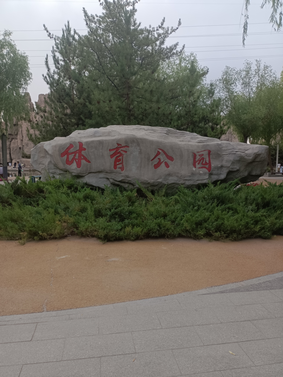 酒泉市体育公园,现在建设的挺不错,公园里的树木苍翠,体育设施完善