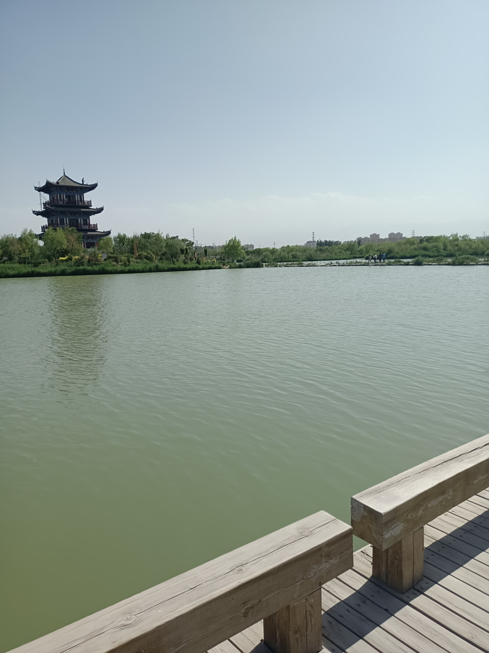 今天,来到了酒泉市肃州区的天马湖,本地人也叫四坝海子.