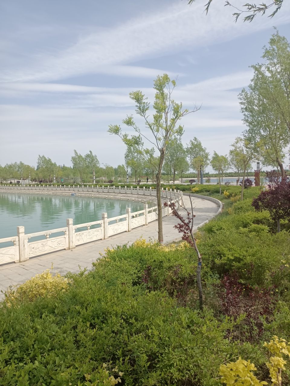 谁说北方没有美景,看看酒泉的丝路公园,我闻到了沙枣花的芬香,听到了