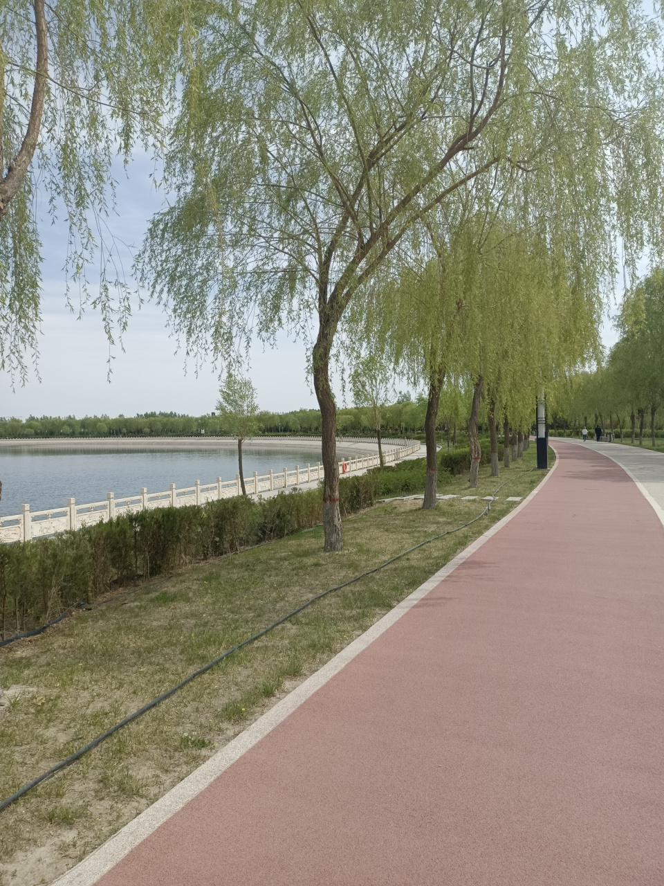谁说北方没有美景,看看酒泉的丝路公园,我闻到了沙枣花的芬香,听到了
