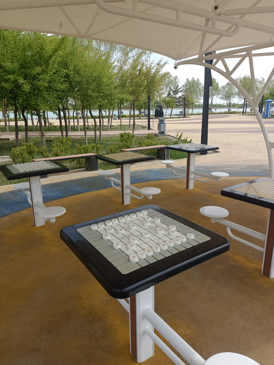 谁说北方没有美景,看看酒泉的丝路公园,我闻到了沙枣花的芬香,听到了