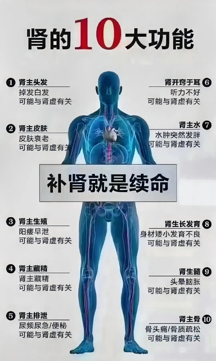 看完"肾的十大功能",你就知道肾.@挽风笔记的动态