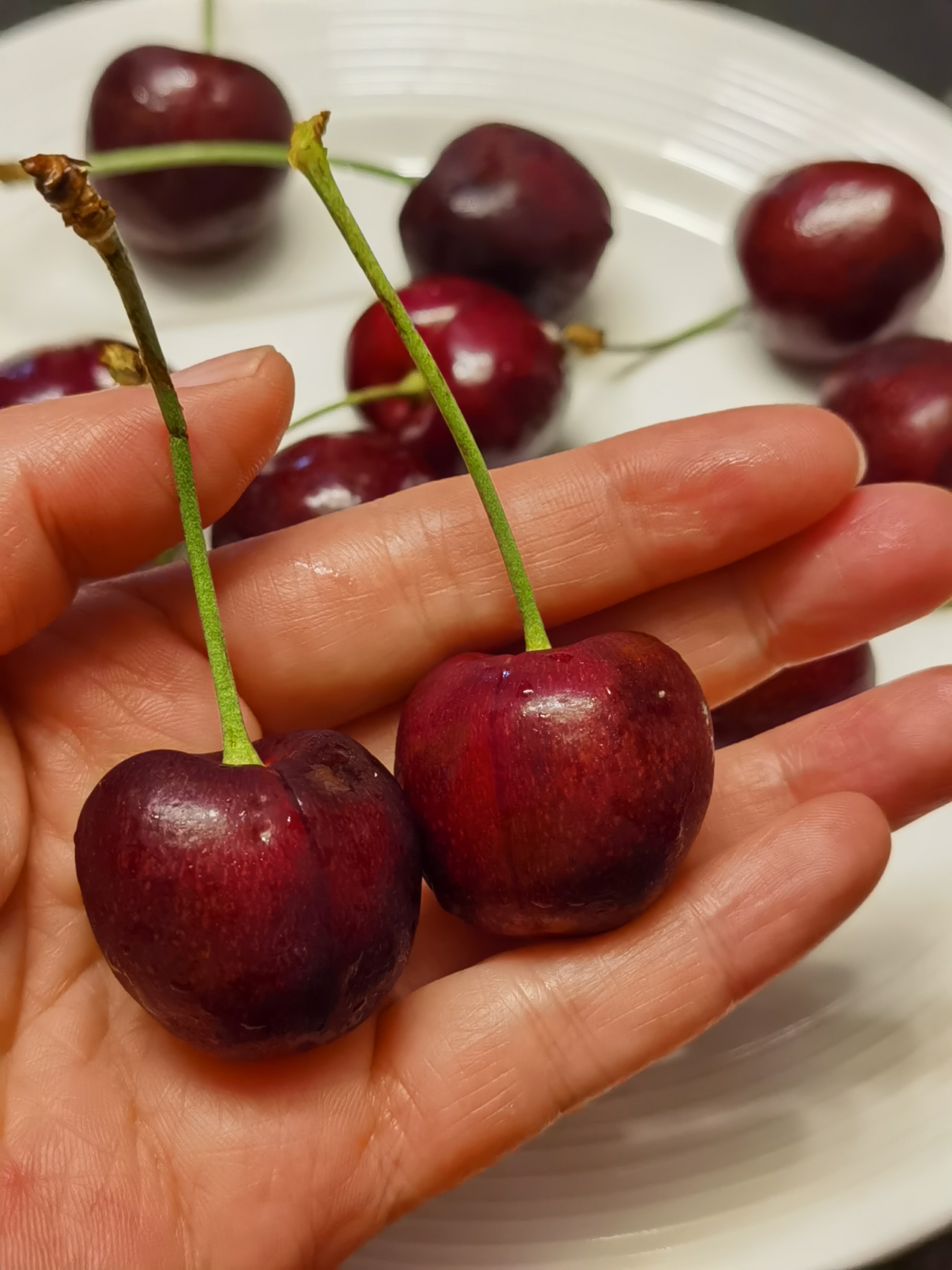 过年吃车厘子了吗?车厘子似乎.@爱生活的小槑的动态