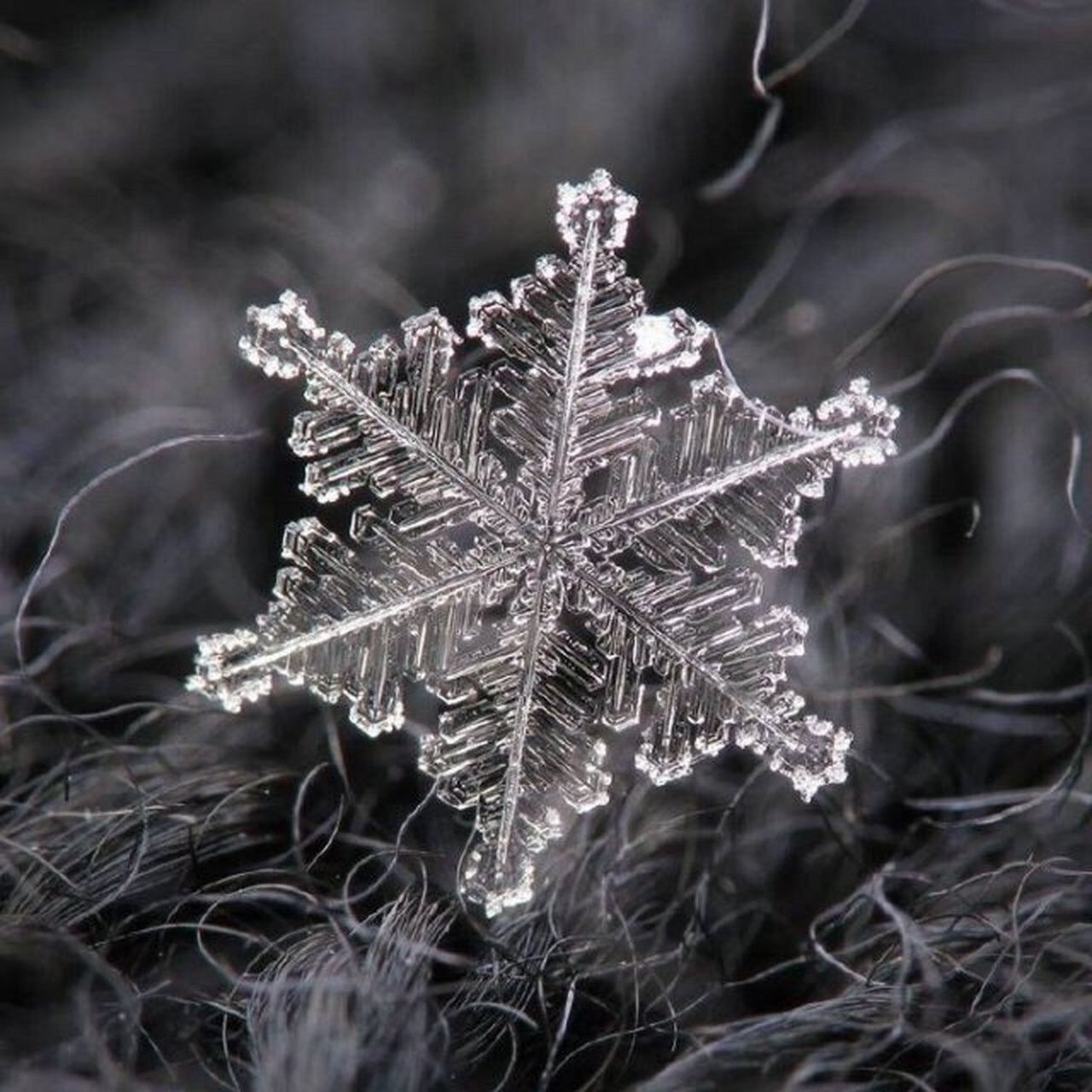 雪花图片