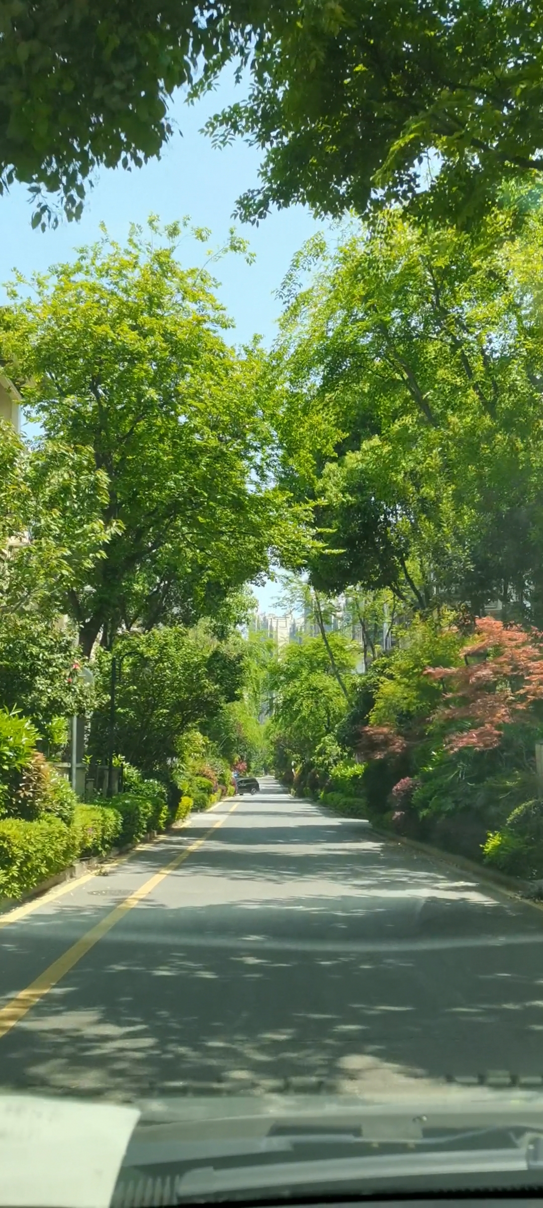 长沙市湘江新区 金地三千府 面积为:159
