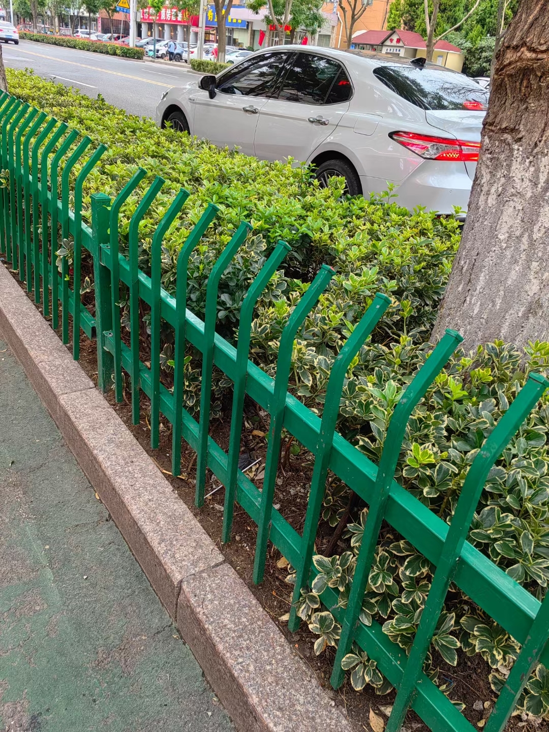 2米高,适用于道路两侧绿化带,首先保护了花草,其次有效预防行人横穿
