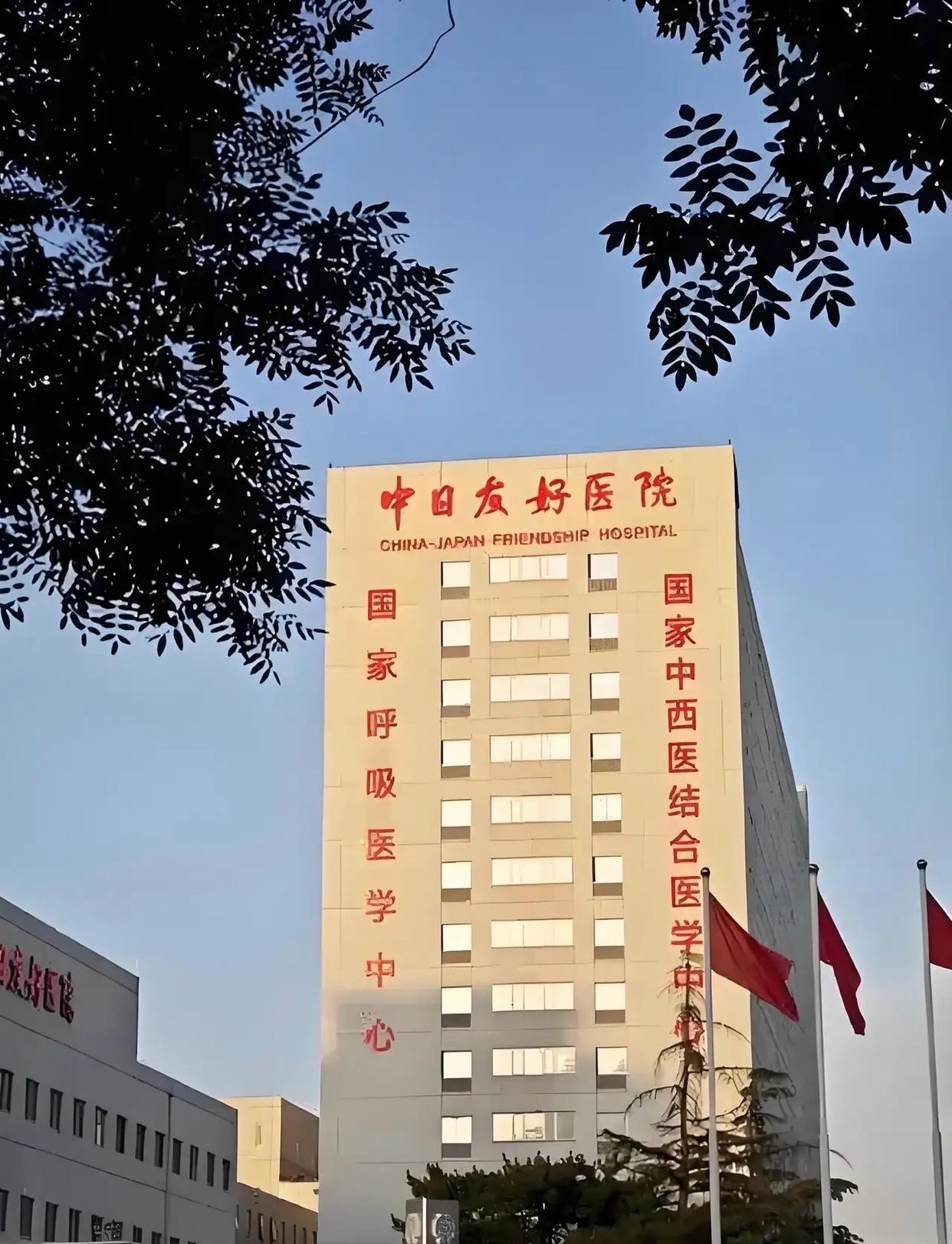 包含中日友好医院、全国服务-收费透明跑腿预约挂号，办事效率高的词条