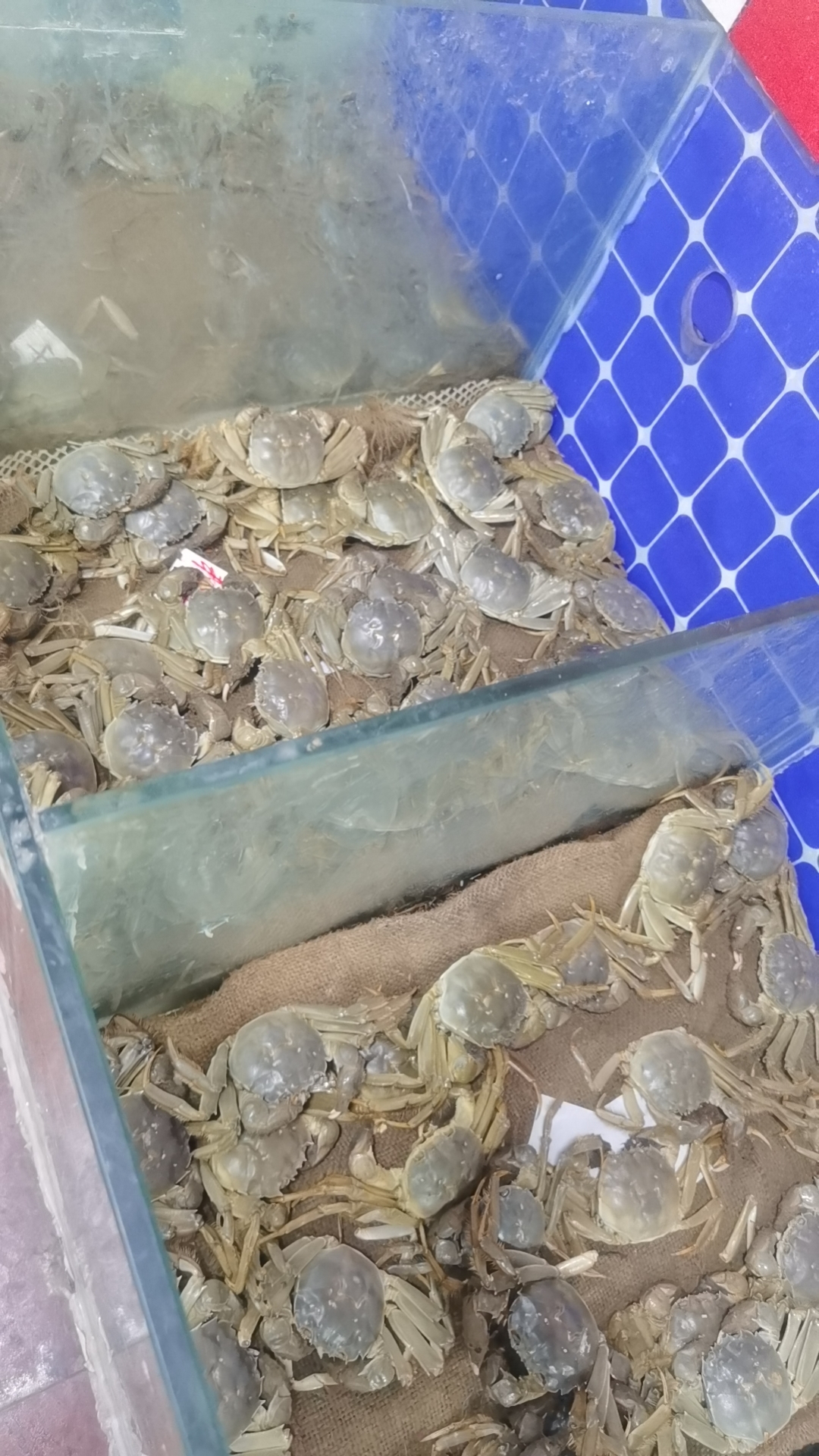 香辣河蟹清蒸河蟹