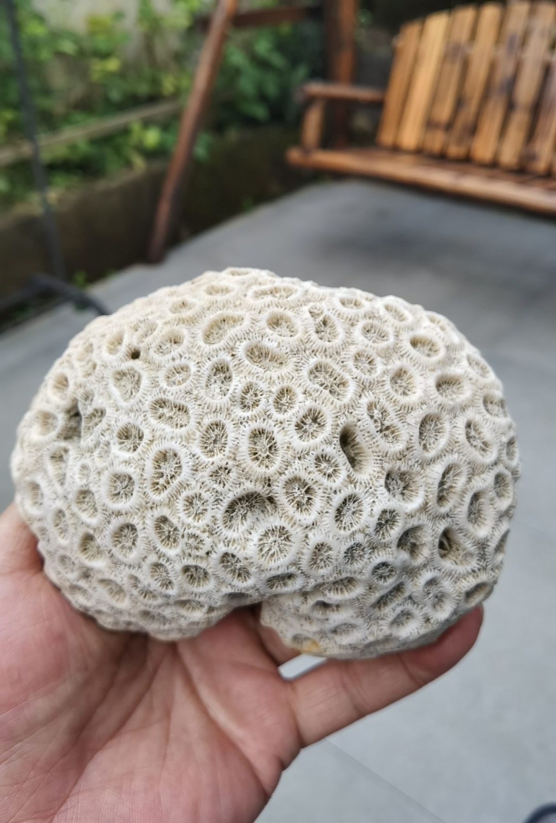 所谓阅人之功,读心之术,不外乎就是你能从靓丽者