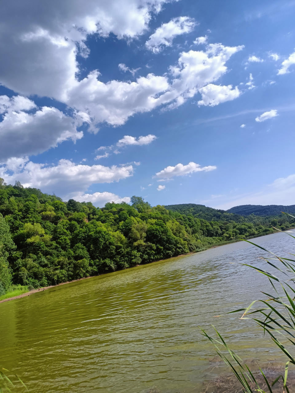 绿色森林,河水清澈,白云悠悠,山丘起伏.