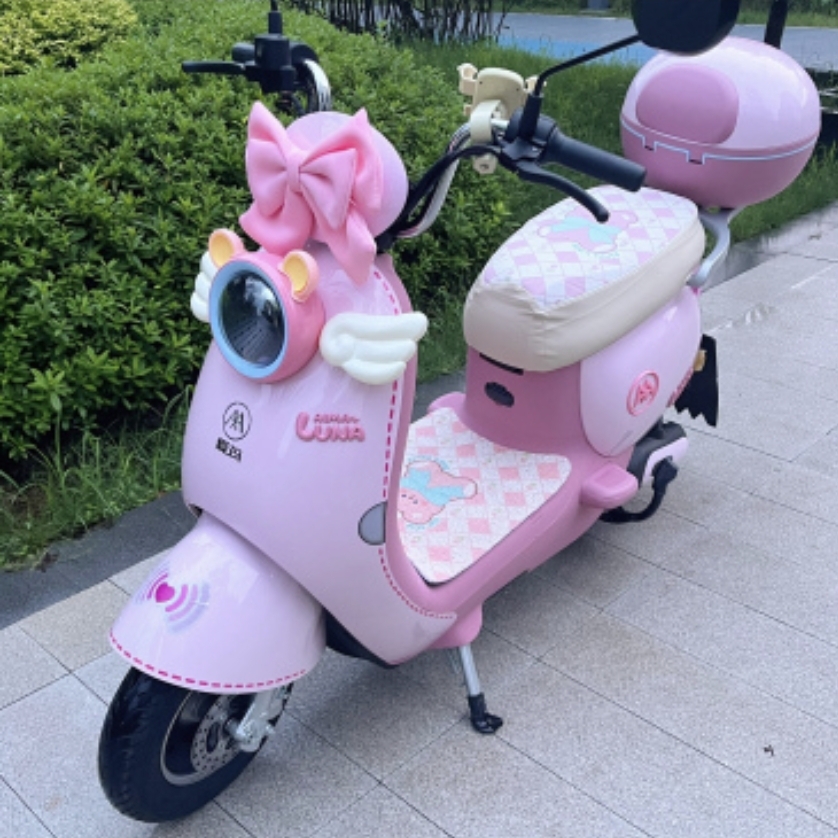咱就是要让我女朋友知道,我永远会给司藕殴鞣 电动车玉桂狗