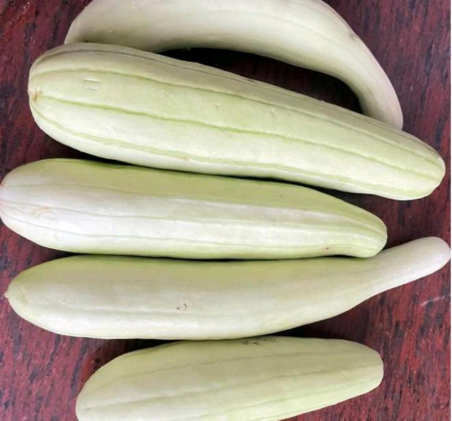 白瓜也是农村比较常见的一种瓜果蔬 菜, 它的外形和地黄瓜也有些相似