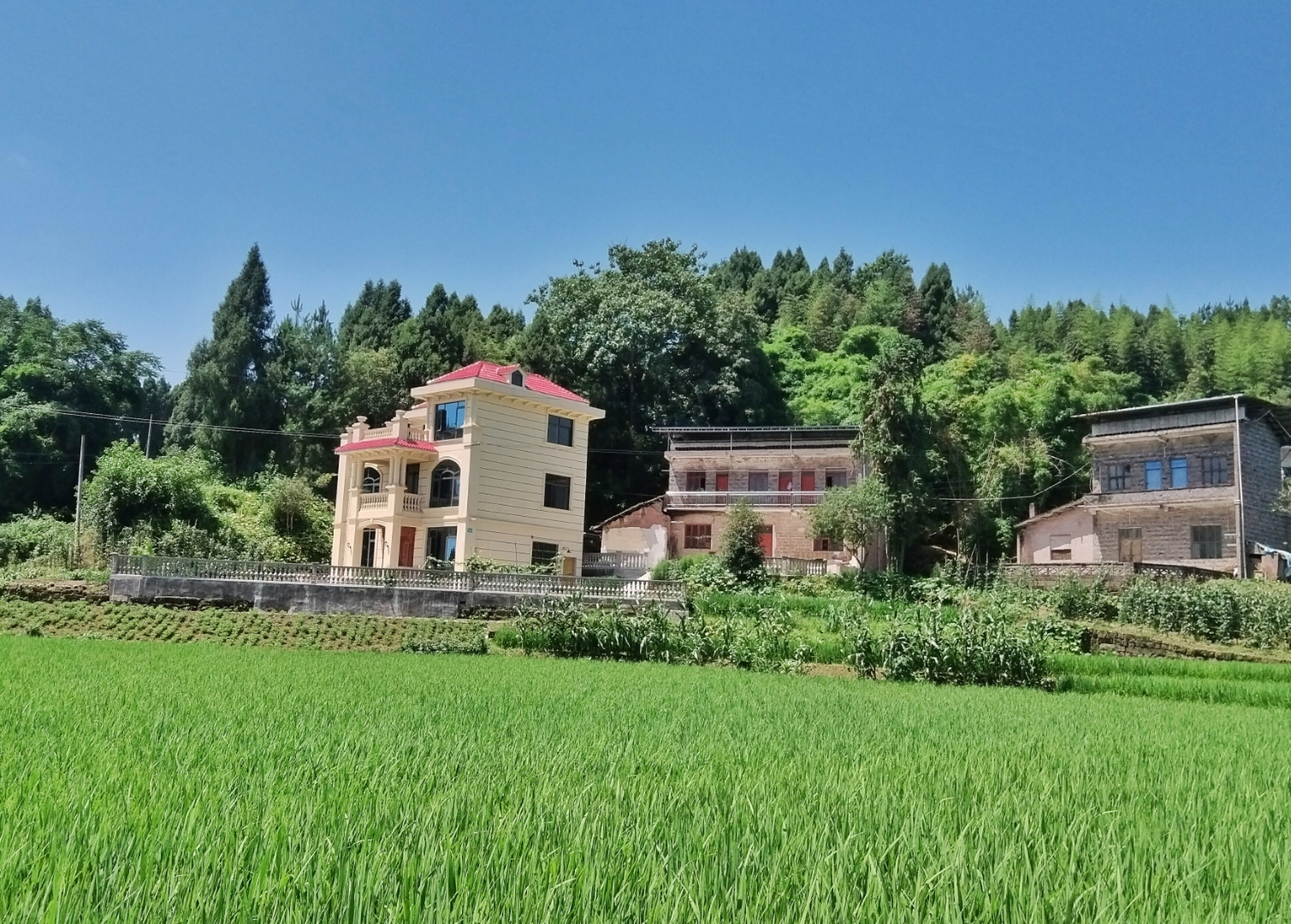 乡村的房子越来越漂亮了,看看这栋别墅.这应该是乡村民居第四代吧.