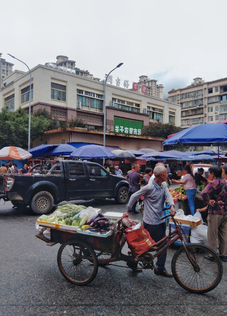 在这样的环境中,我感受到了生活的