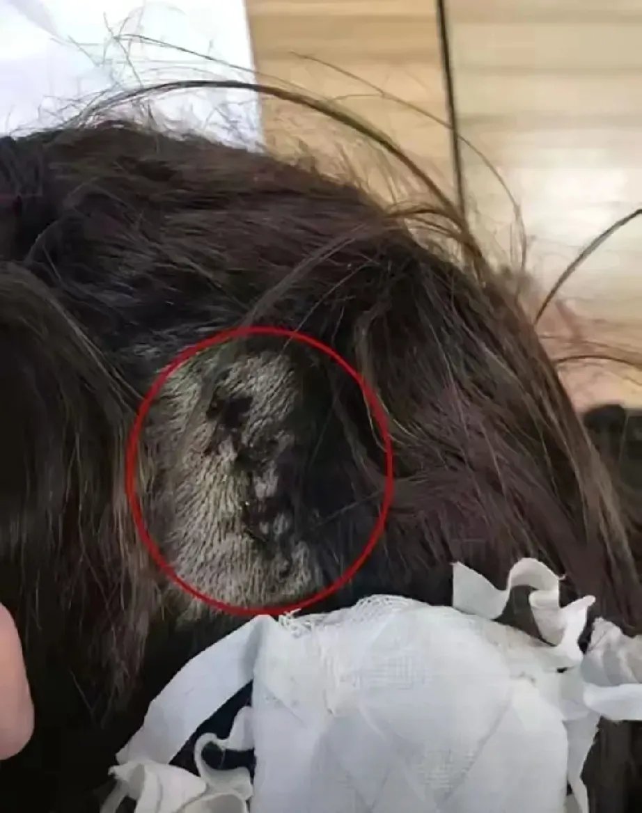 这谁能咽下这口气,姑娘找老板理论,哪成想啊,那老板头发卷进风扇