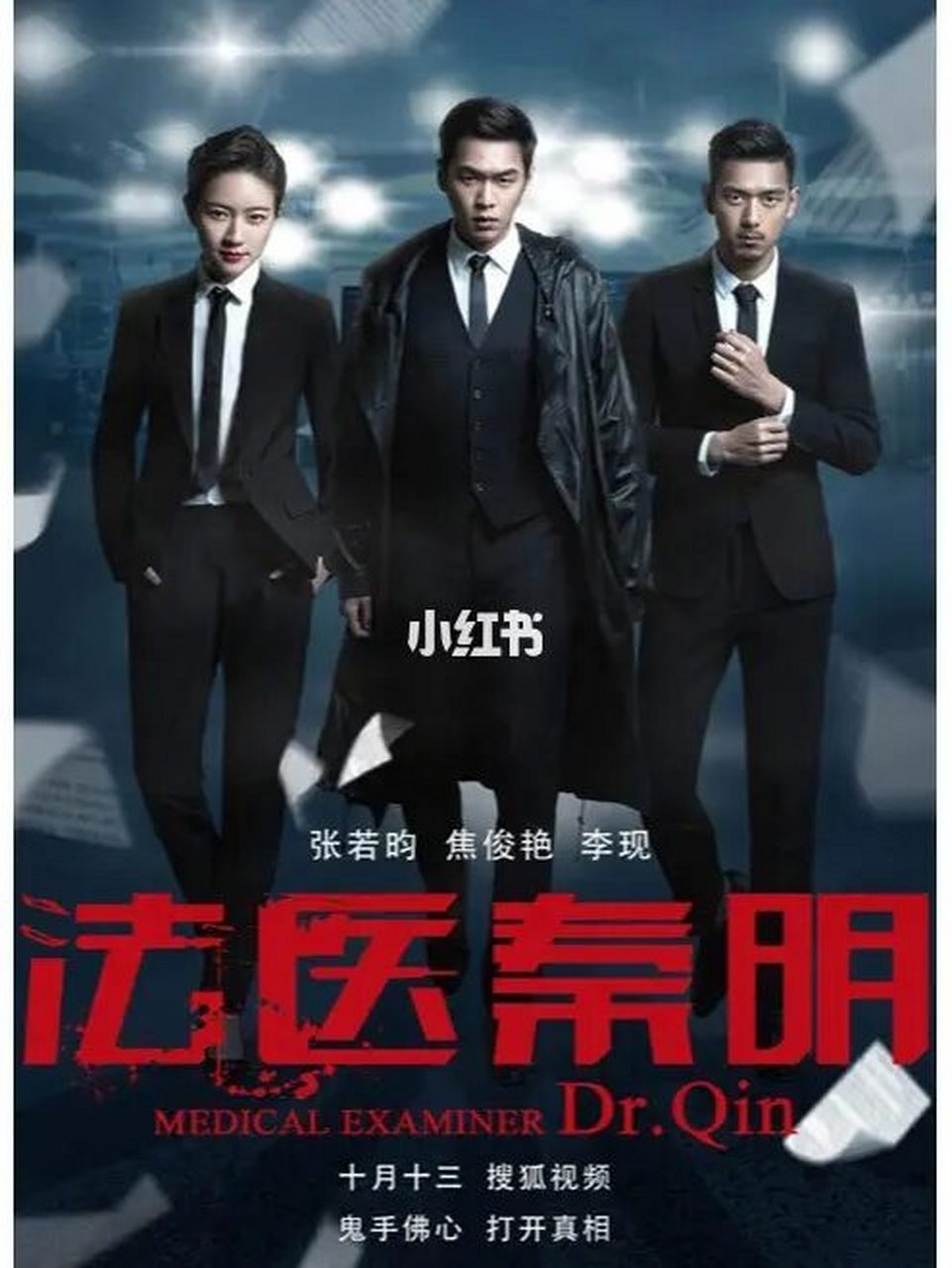 电视剧 简介: 龙番市刑警队长林涛(李现饰),与法医科科长秦明(张若昀