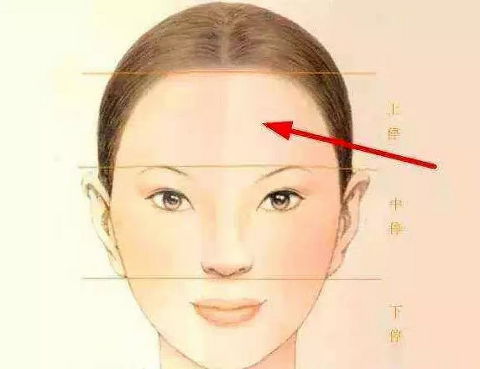 所谓"天庭饱满",指的是额头上,中,下部都长得宽大,均匀且较突出.