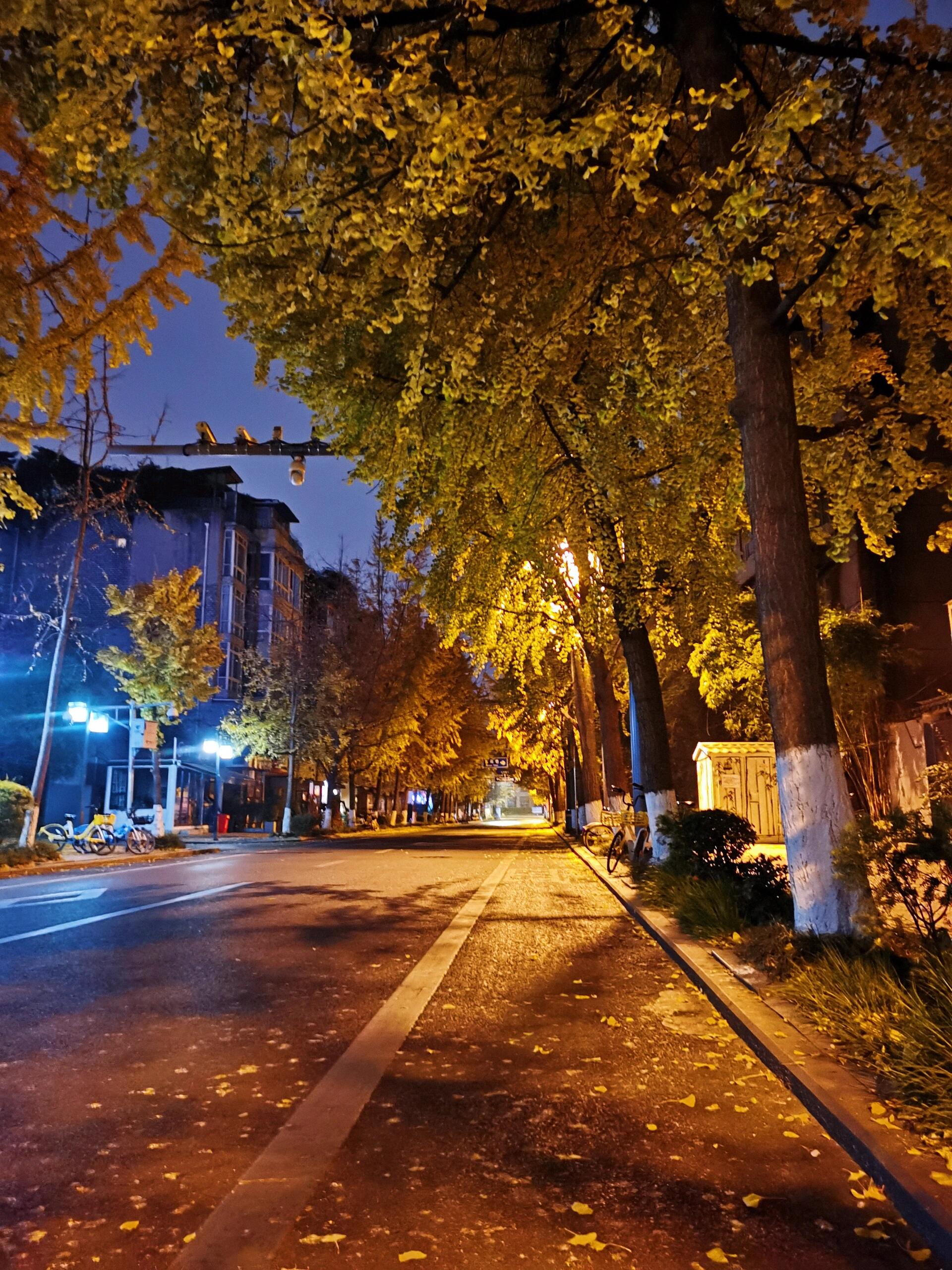 成都夜景 真实图片