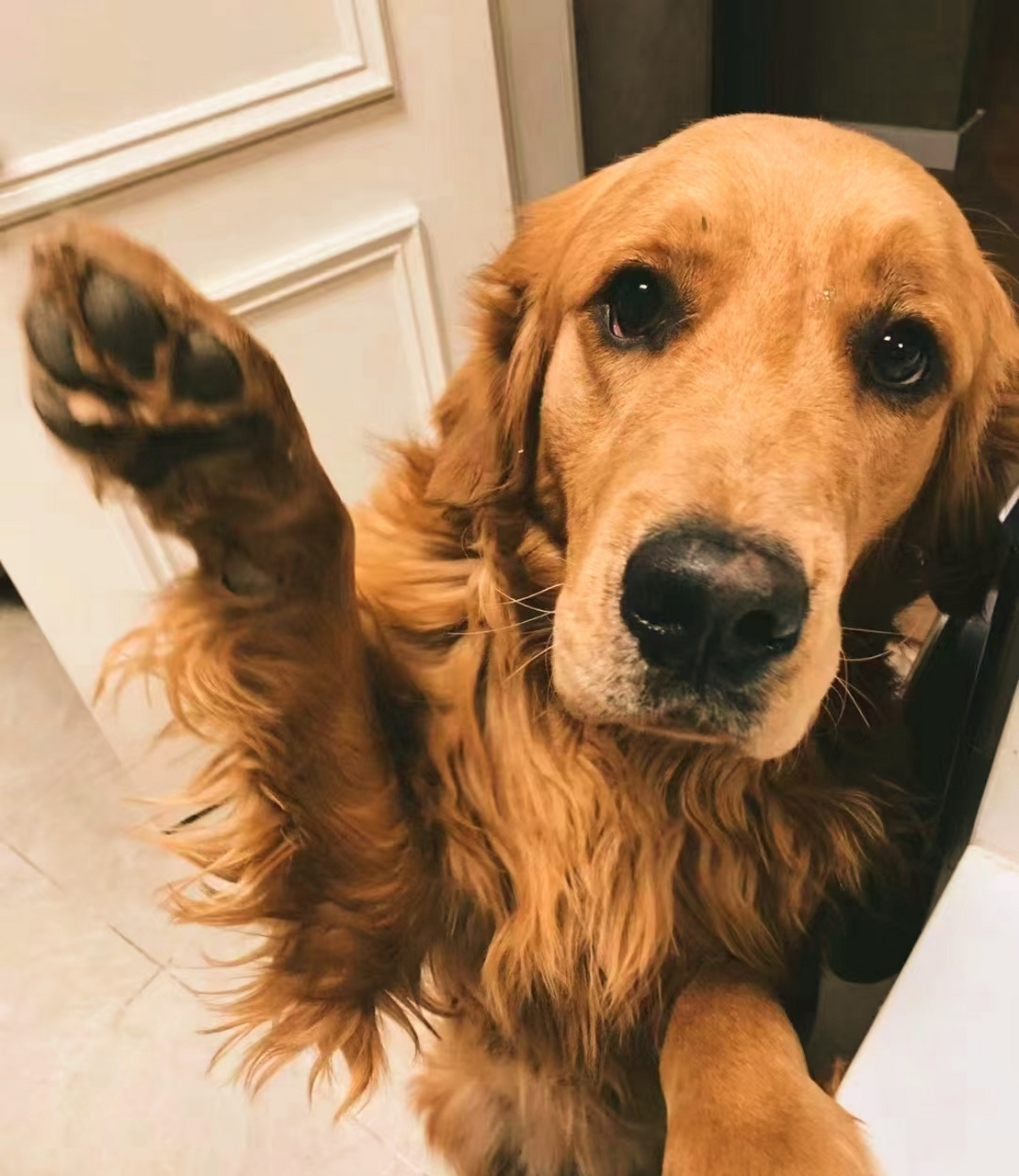 闺蜜让我在友圈贴一张宝子的小布告,点开文件的内容:【929292