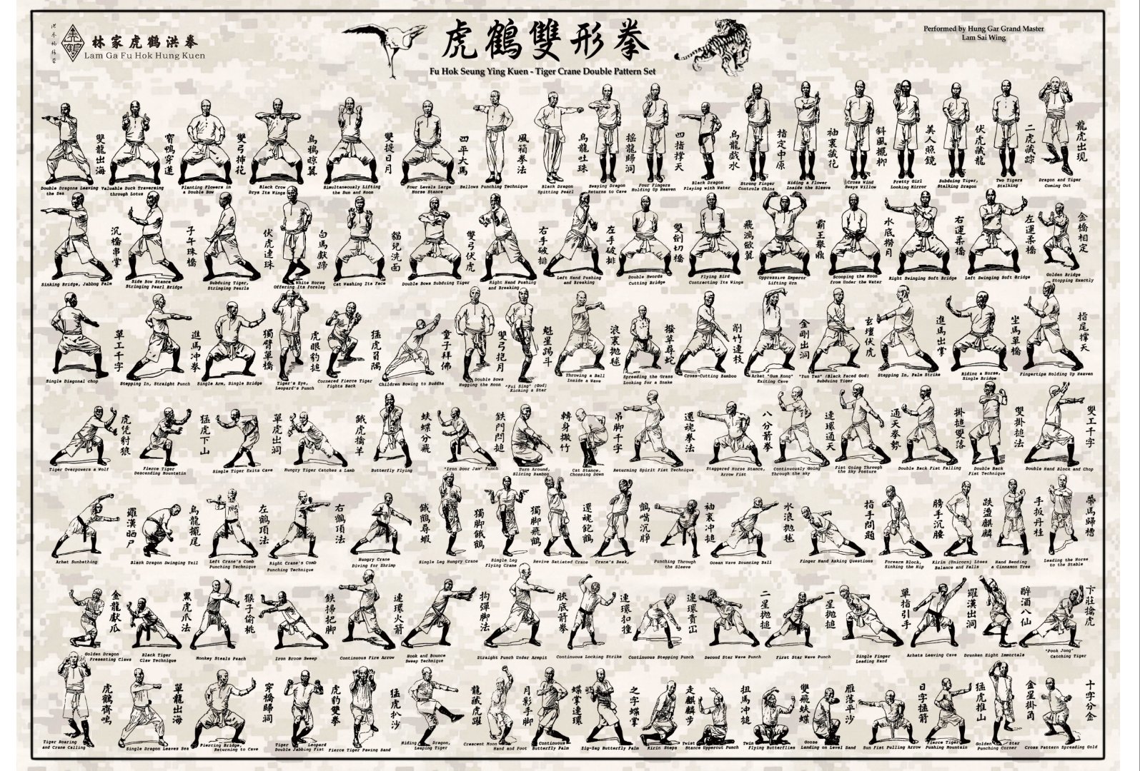 功夫文化;著名洪拳三宝《虎鹤双形拳》,《工字伏虎拳》,《铁线拳》
