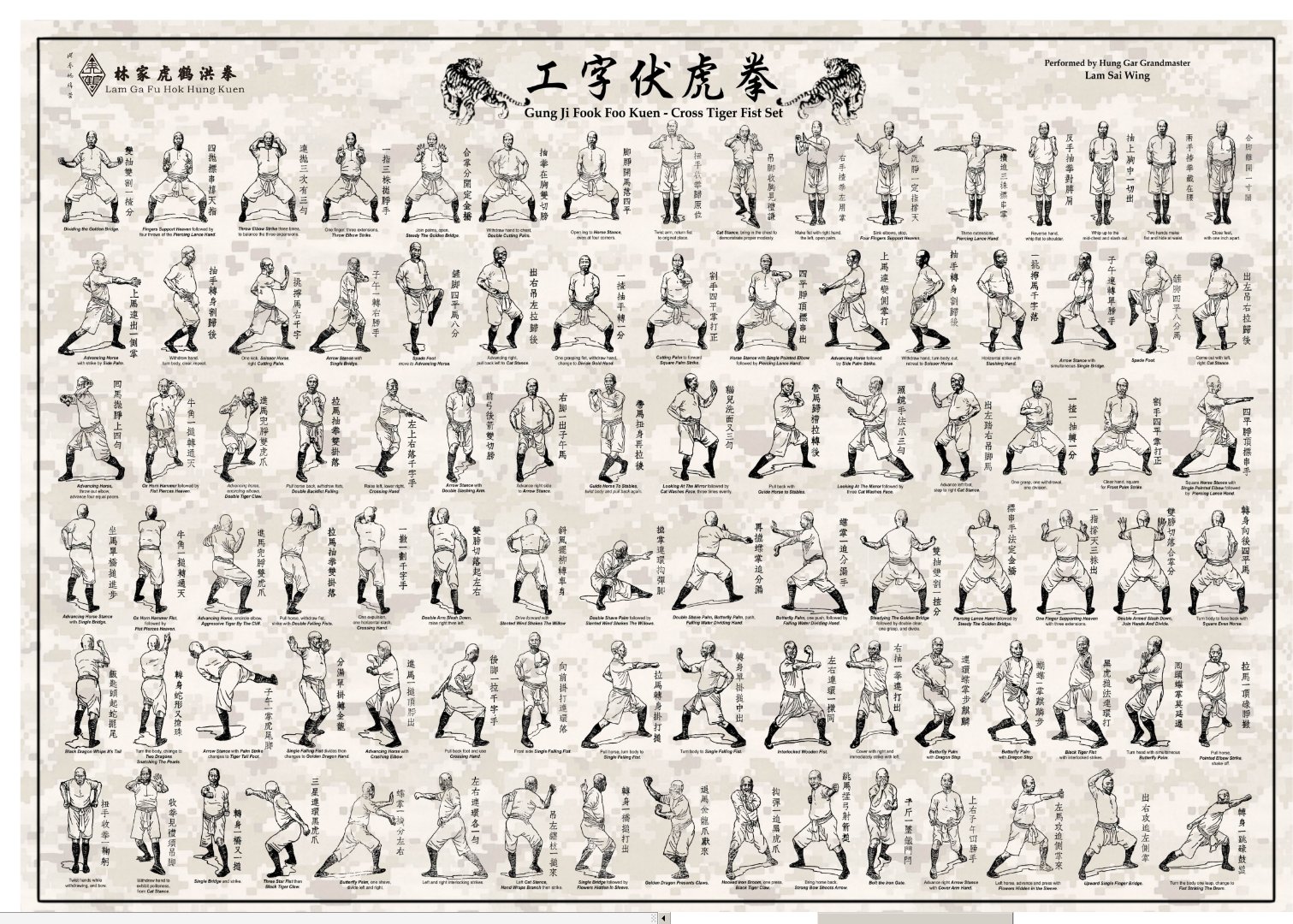 功夫文化;著名洪拳三宝《虎鹤双形拳》,《工字伏虎拳》,《铁线拳》