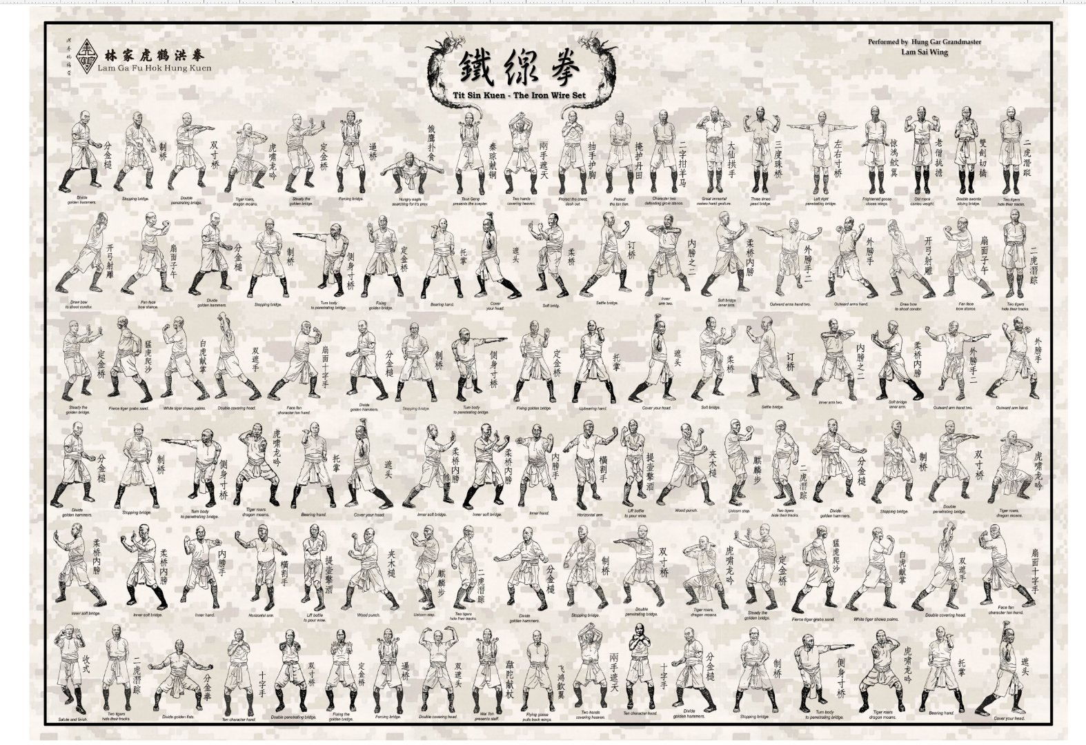 功夫文化;著名洪拳三宝《虎鹤双形拳》,《工字伏虎拳》,《铁线拳》