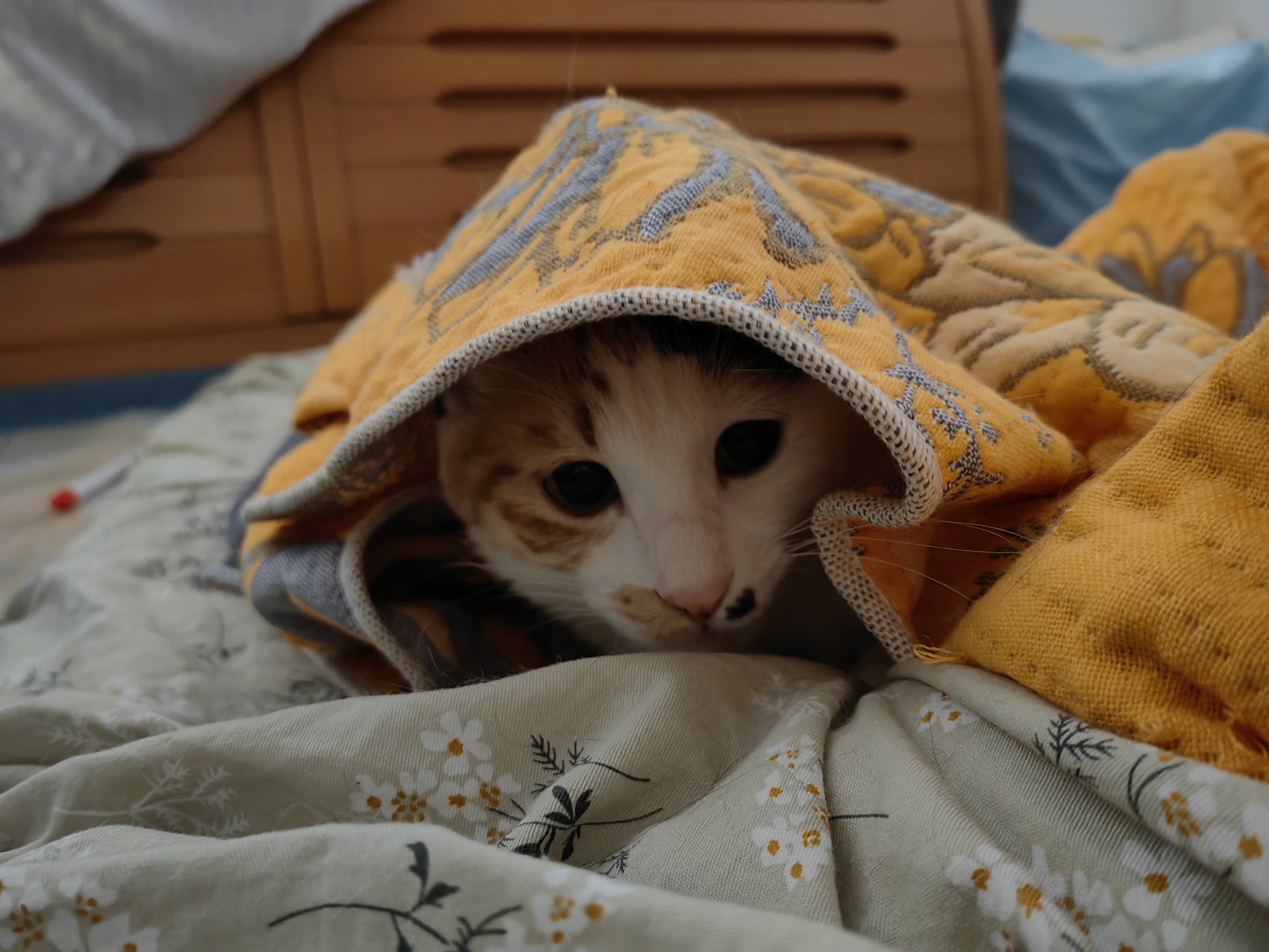 全身僵硬,酸痛无力,人到中年,未老先衰