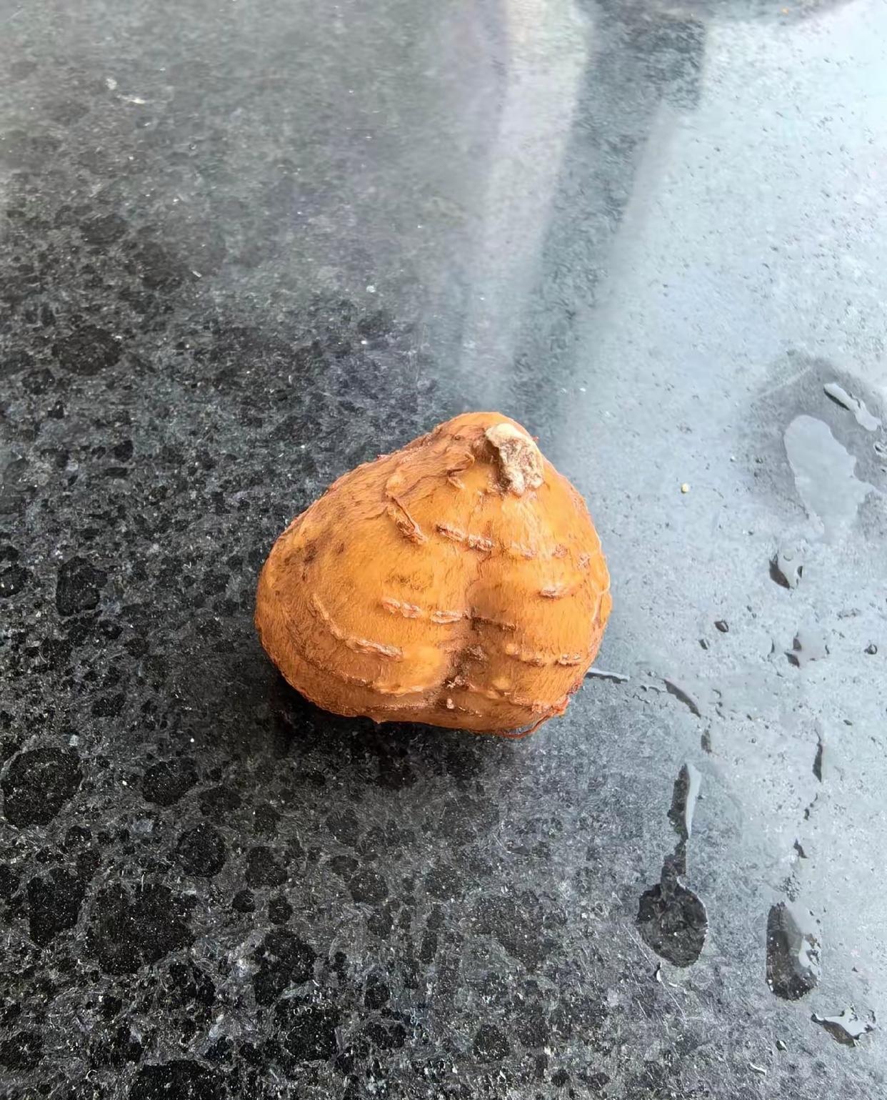 网友说,这个是江苏启东海门的特产,学名叫香芋,这个香芋炒不熟会食物