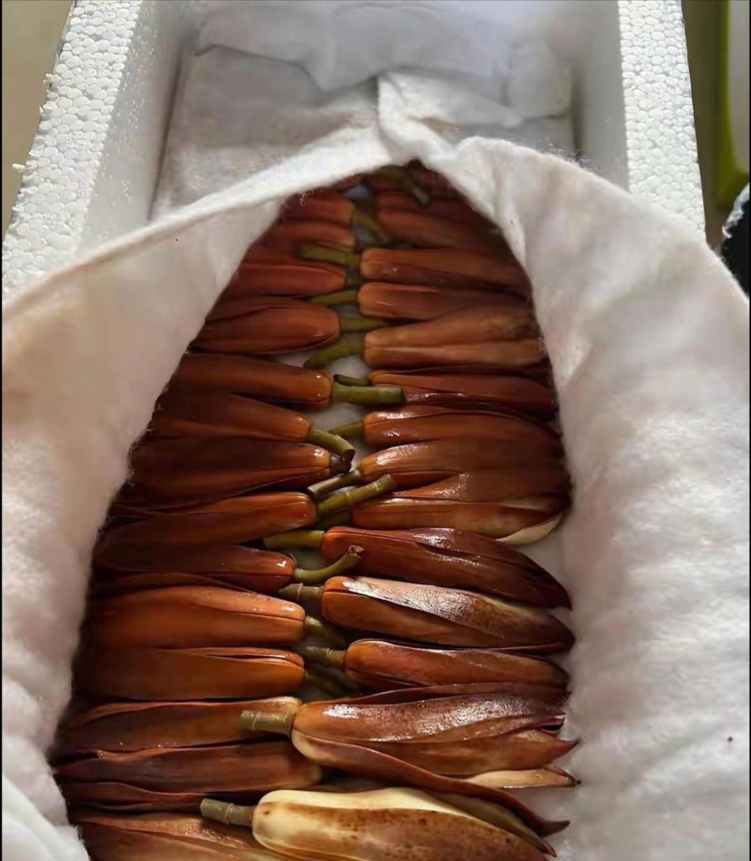 单位同事告诉我这是黄果兰花,你这只有晾干泡酒,泡成深红色就可以用