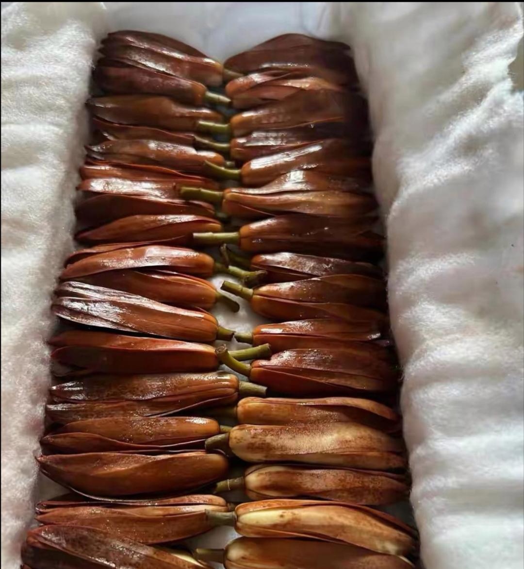 单位同事告诉我这是黄果兰花,你这只有晾干泡酒,泡成深红色就可以用