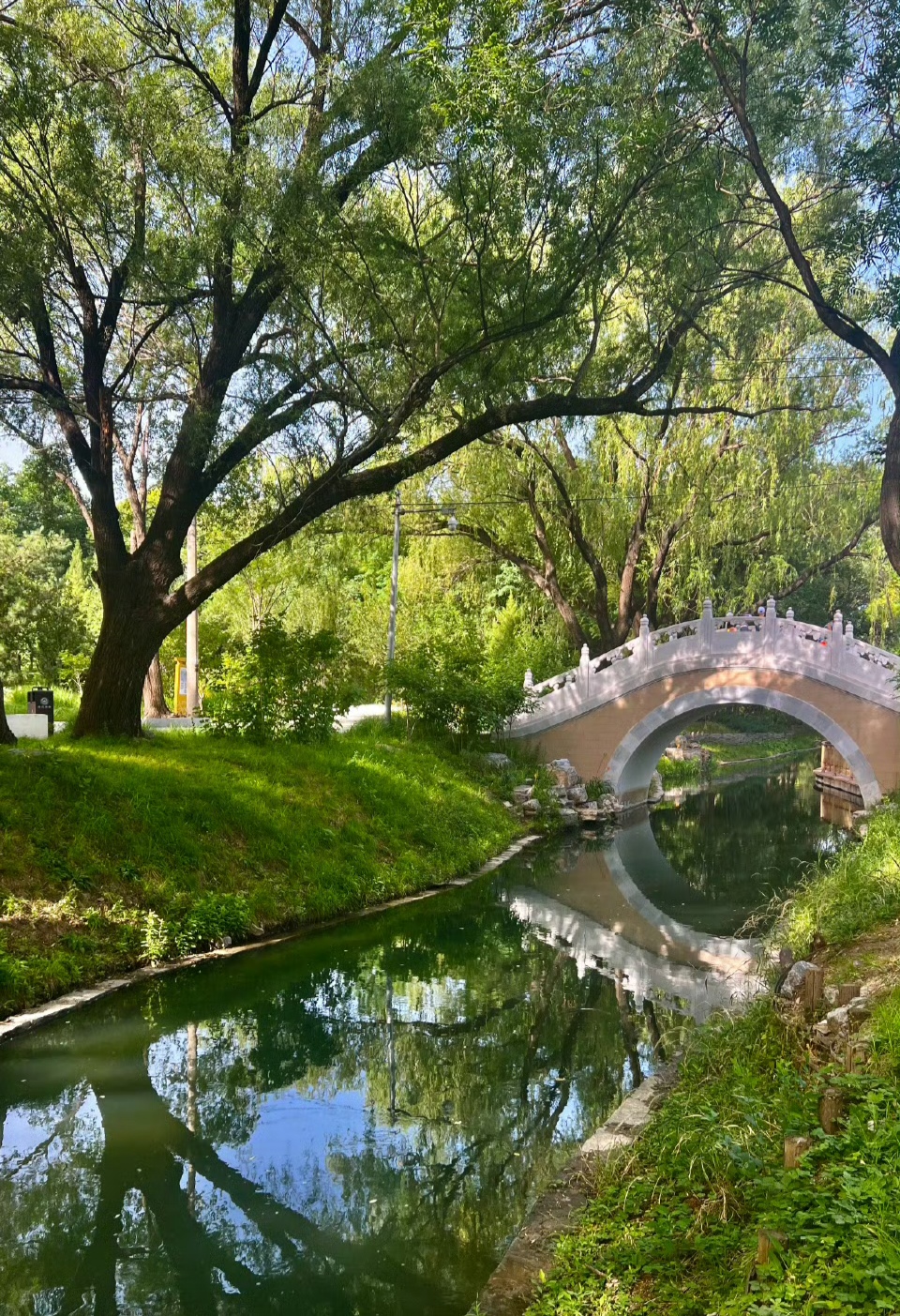 夏日生活打卡#北京海淀有条低调的小河