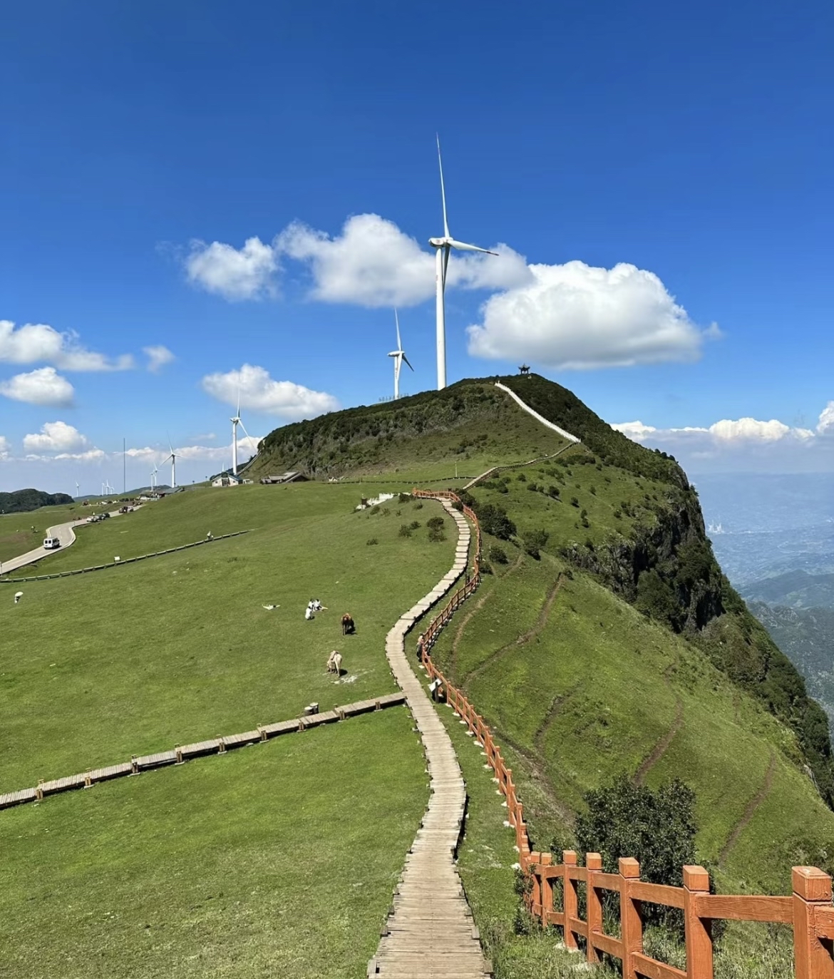 务川仡佬大草原景区图片