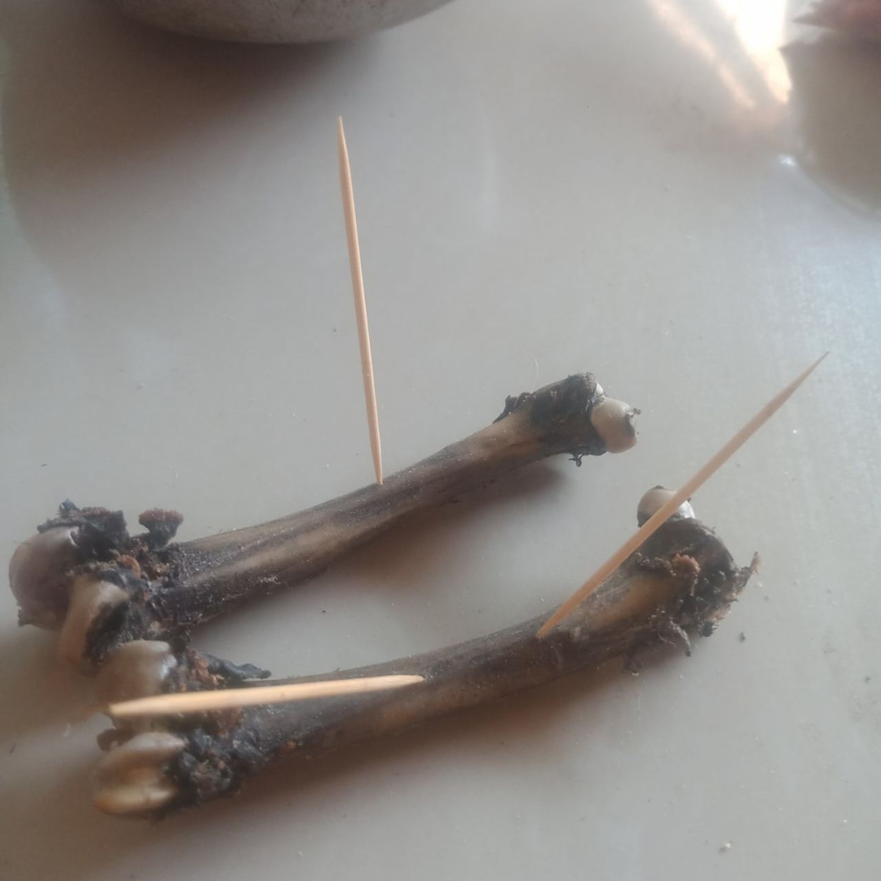 请问鸡卦书上此卦怎么解?