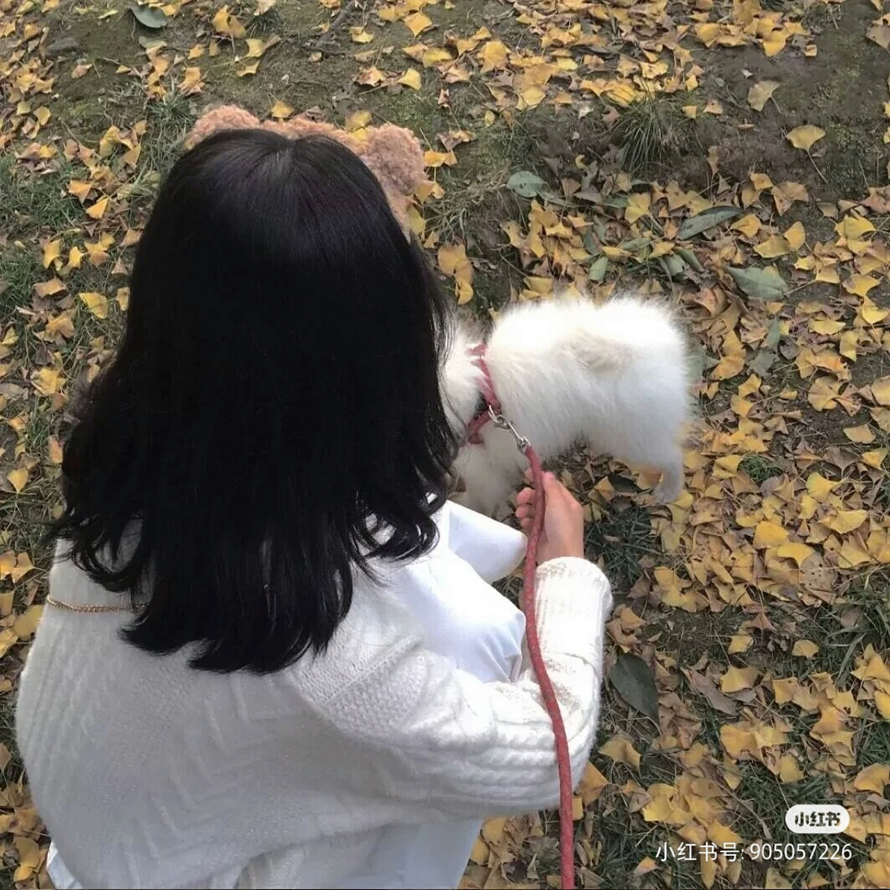 "love rises and sets" 爱意东升西落.