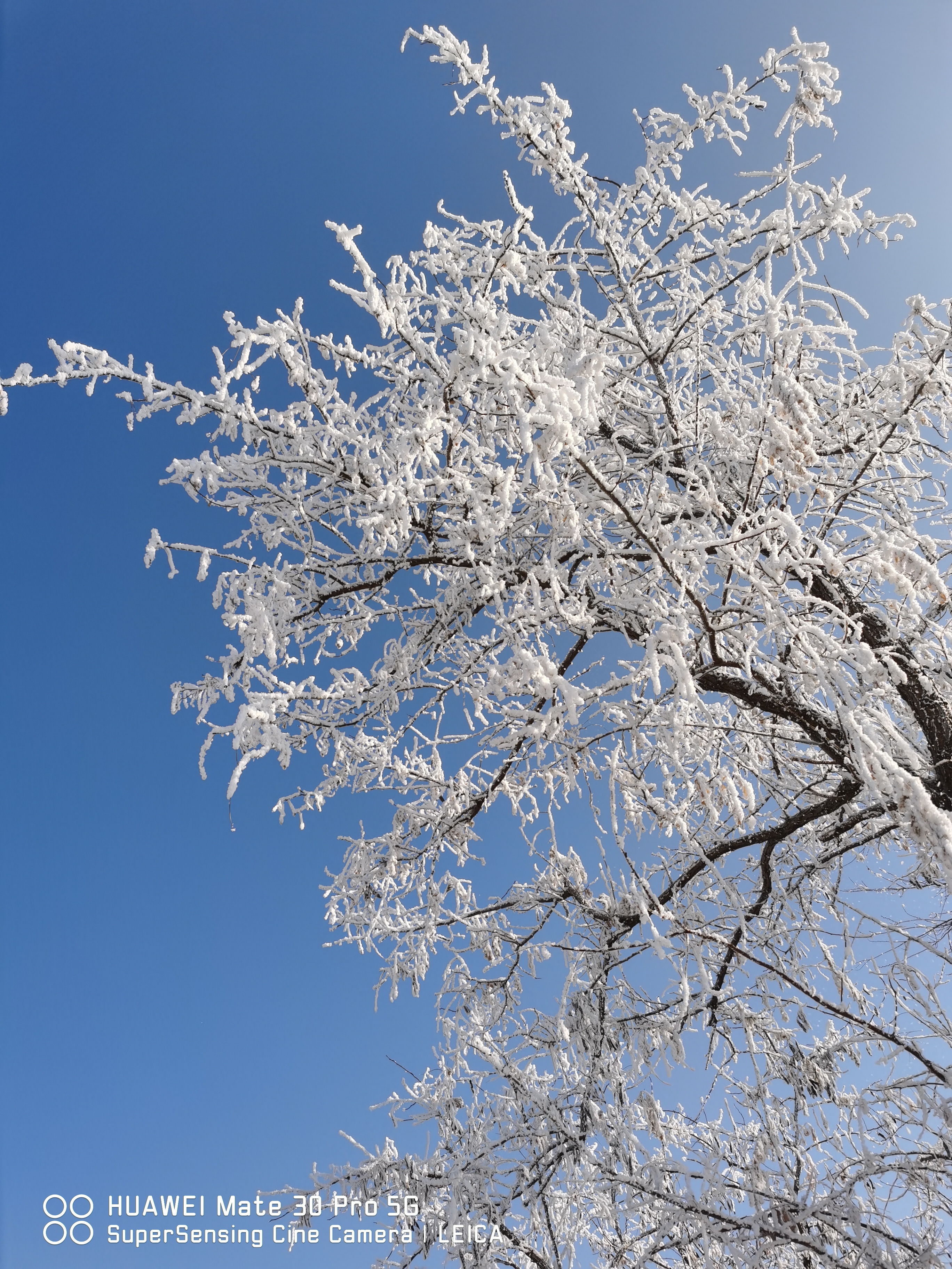 失望的大a,死了心的环境,烦谁恨谁劝他劝她,他们