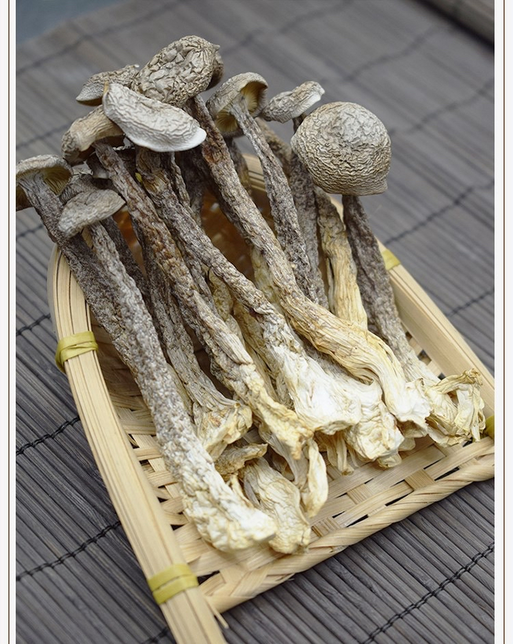 云南鹿茸菇,学名为hongo camphoratus,别称香覃,松茸等,属于伞菌科,是