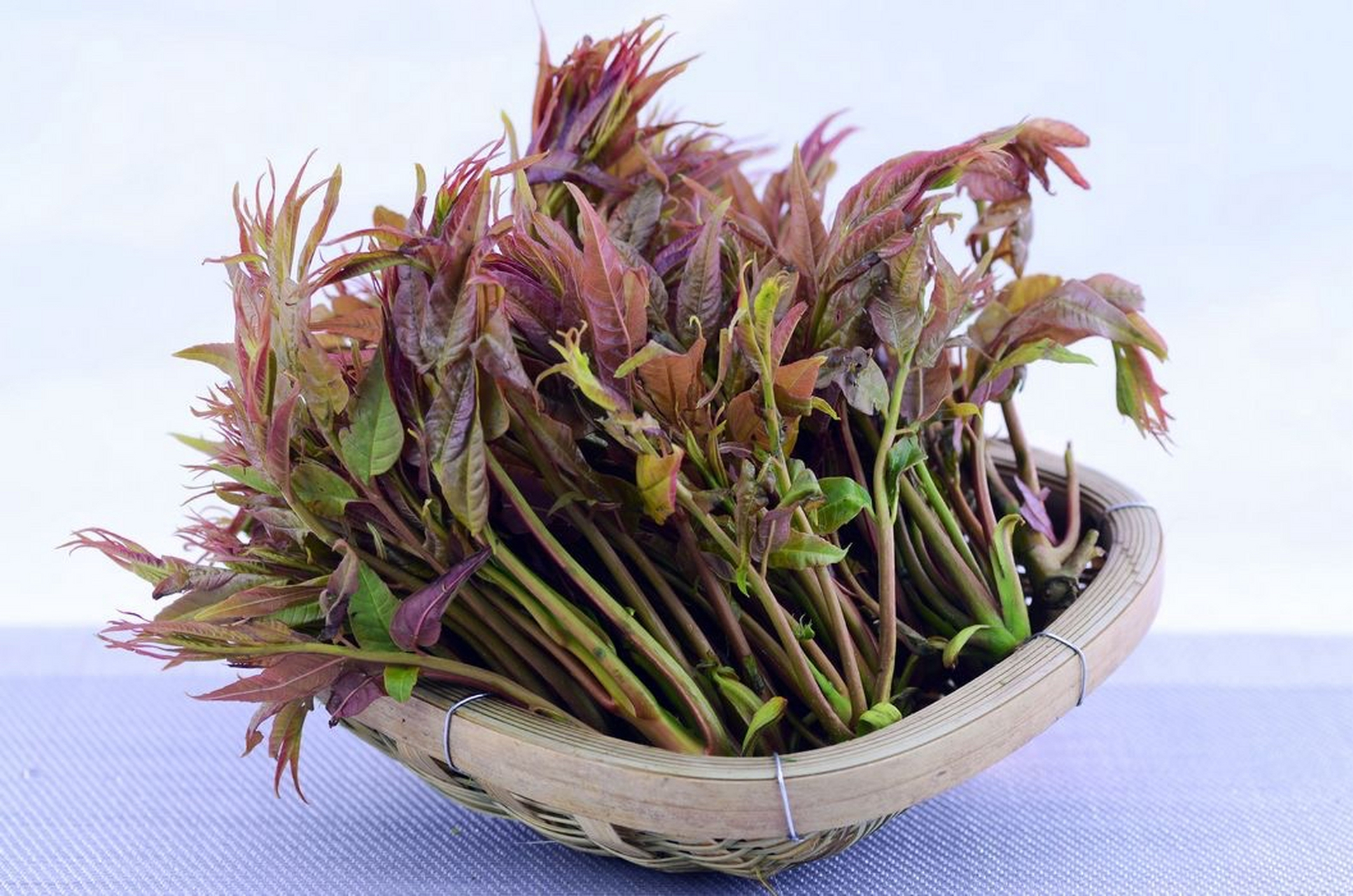 香椿芽作为一种时令食材,每年春季上市,口感鲜嫩,味