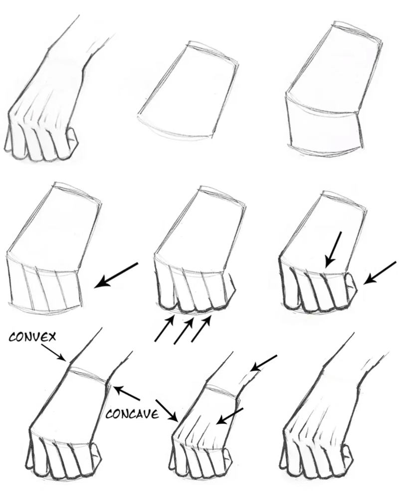 给大家分享画手的步骤^o