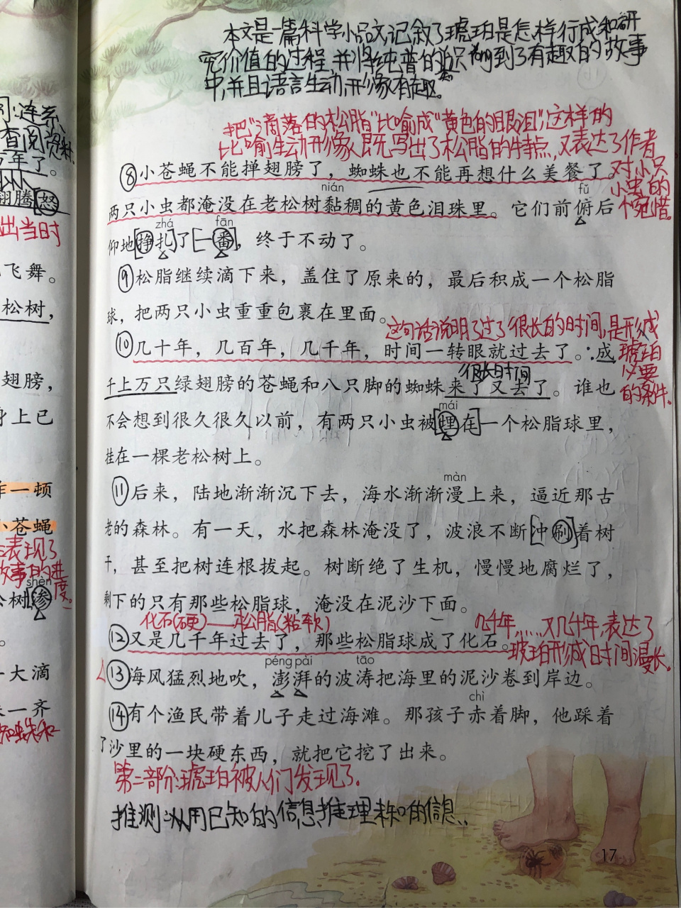 四年级下册语文《琥珀》手写笔记 课已经上完啦,发笔记了