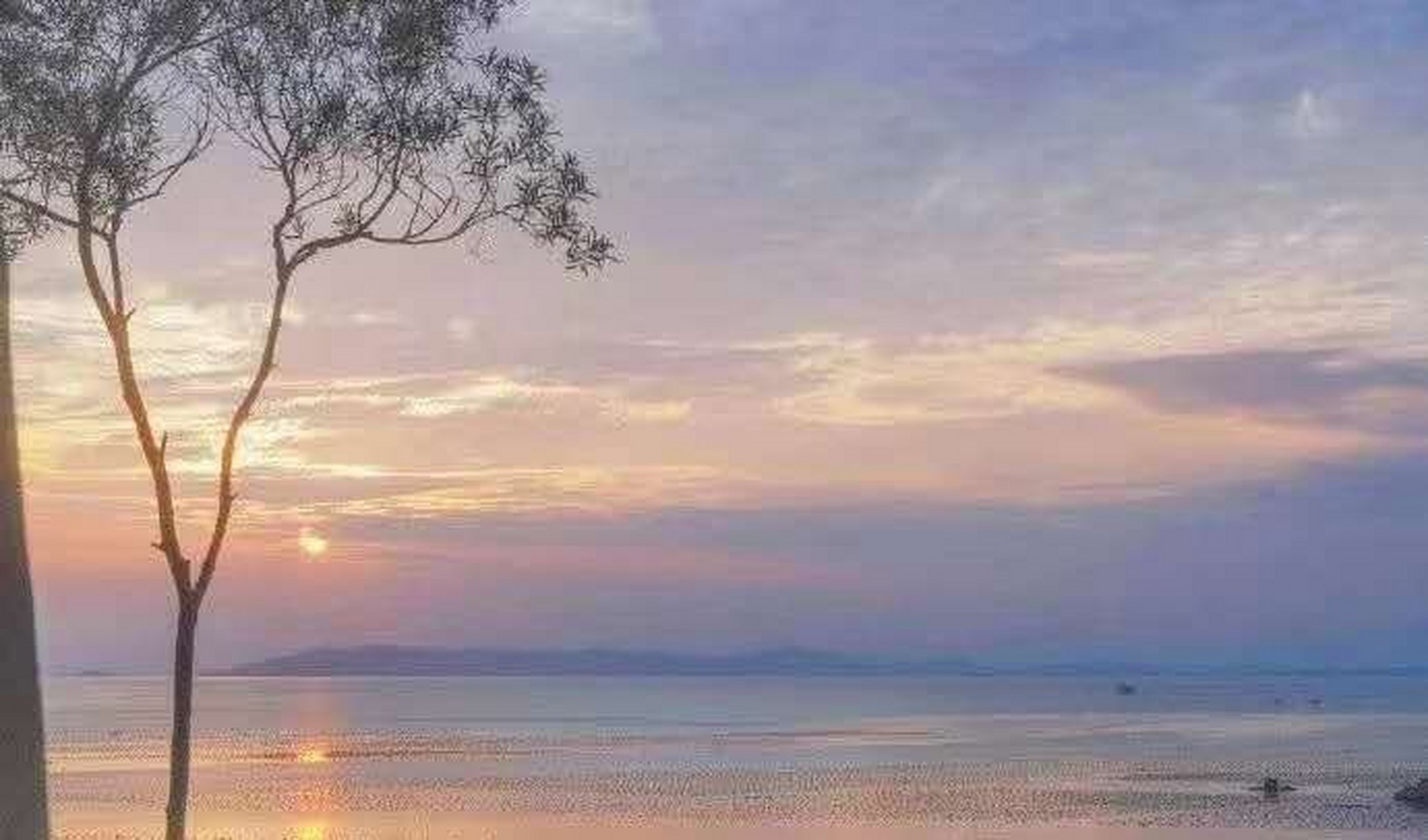 《落日余景》   青嶂隐云幽 ,   寒江远峻流.