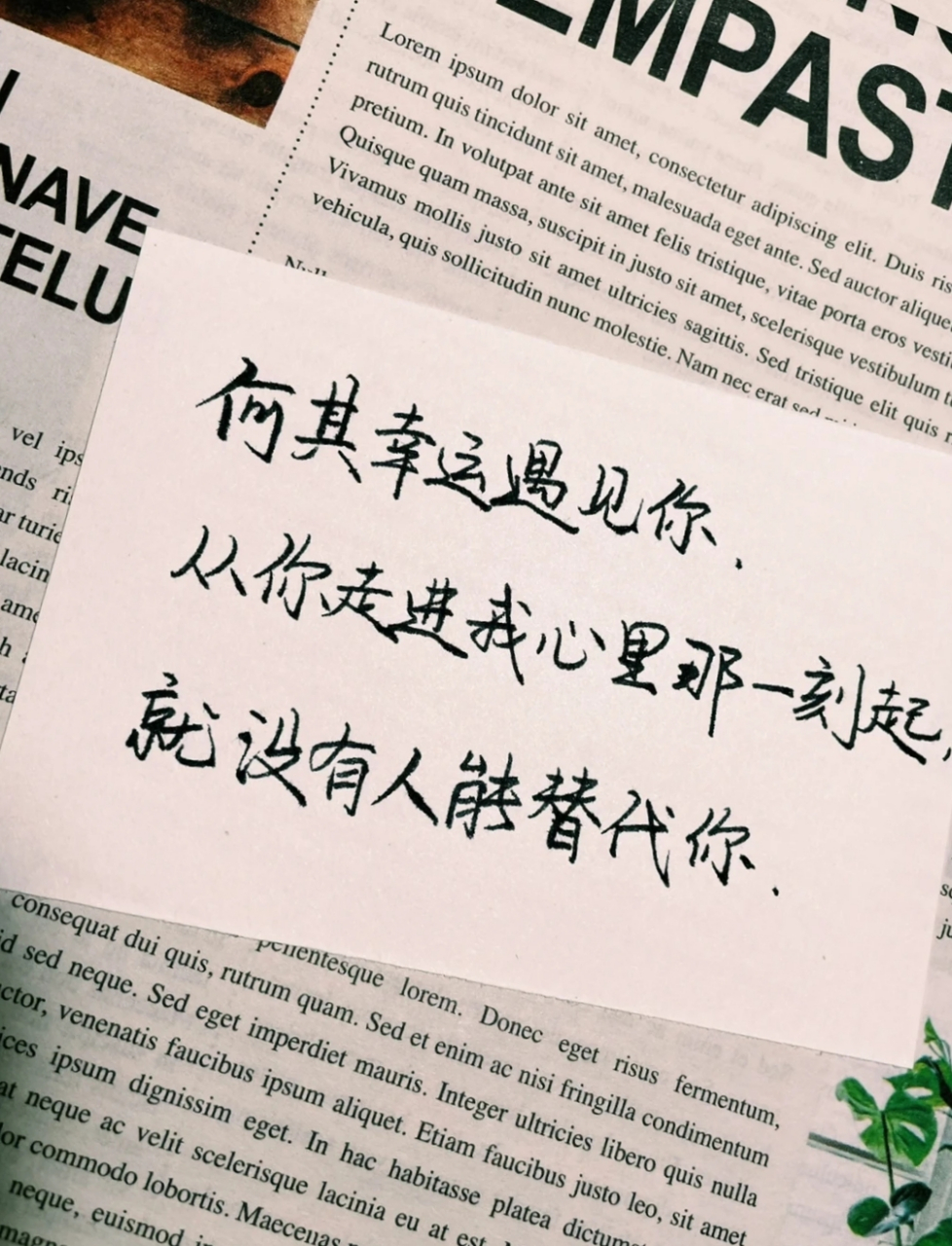 何其幸运遇见你,从你走进我心里那一刻起,就没有人能替代你!