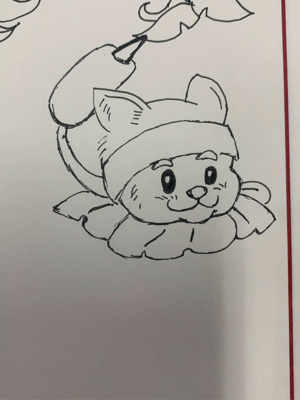 猫尾草简笔画图片