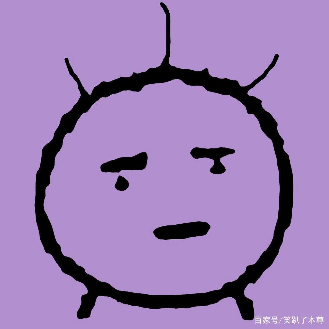 赵俊龙在微博,豆瓣用"岁月致柔"发贴;姜春芳,赵俊龙母子在百度app用如