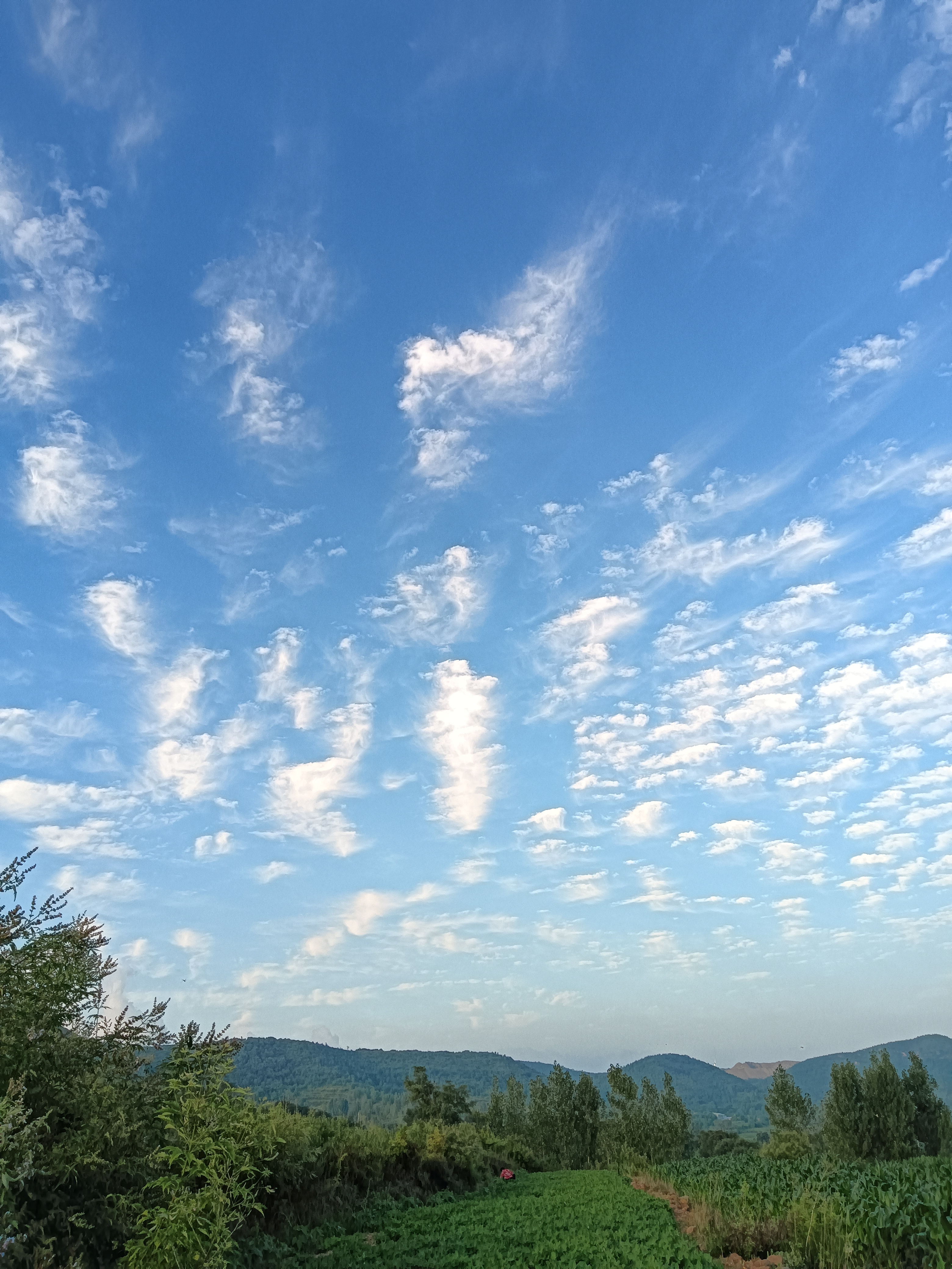 蔚蓝的天空图片真实图片